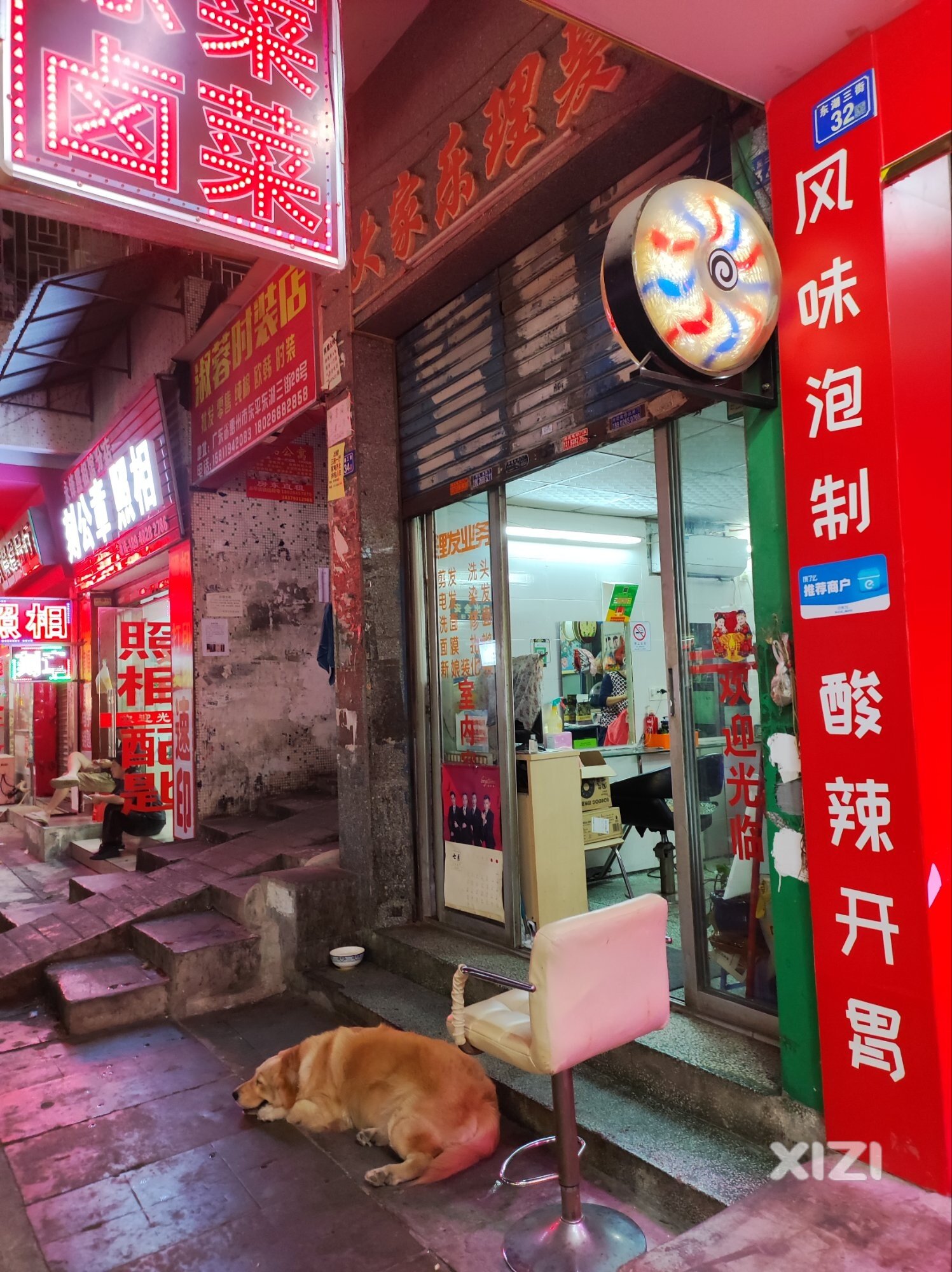 东平大家乐理发店门口，凶恶大狼狗不栓绳，吓唬小孩。