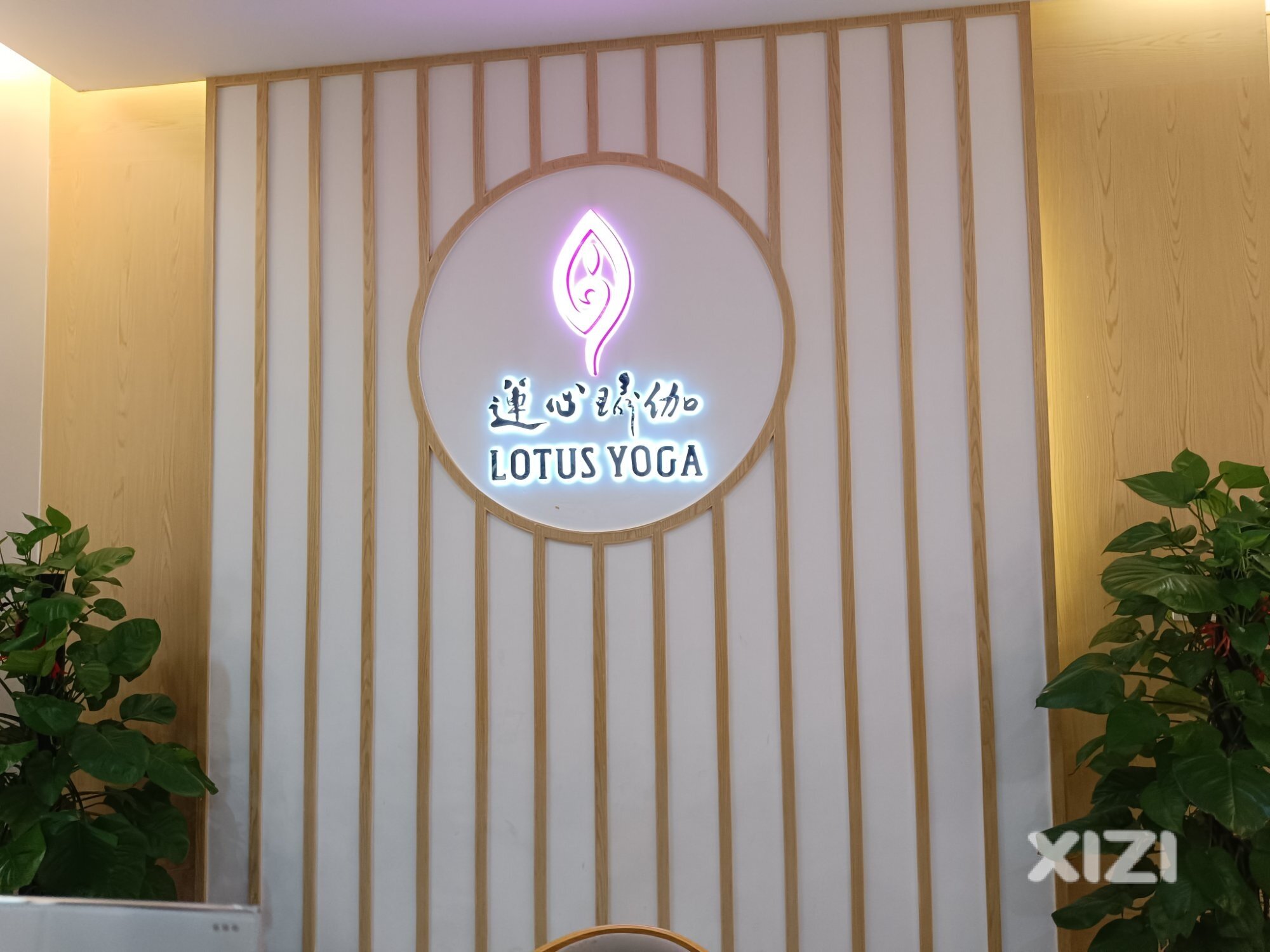 凝聚社会力量，共谋共同发展