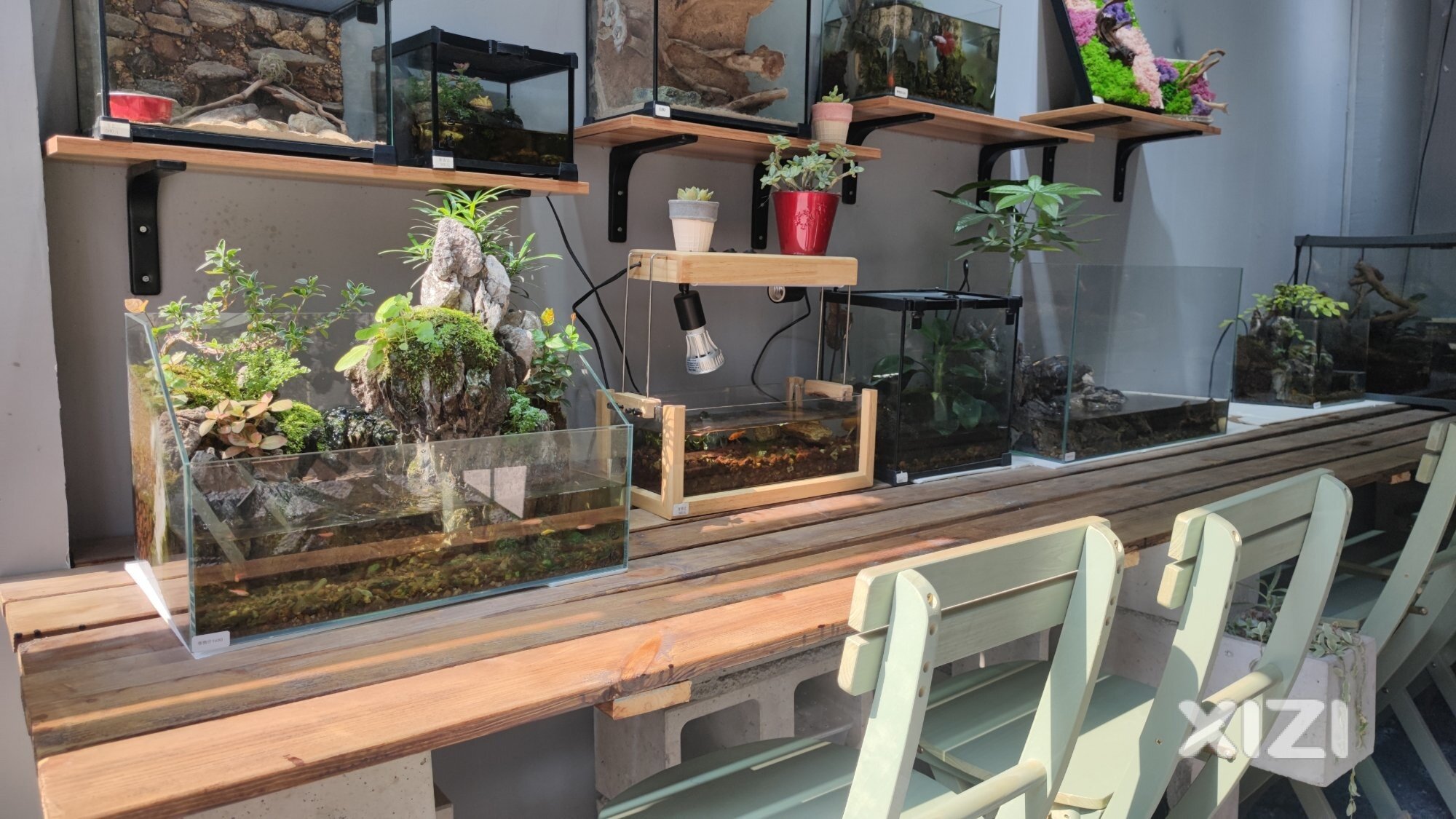 西湖探店