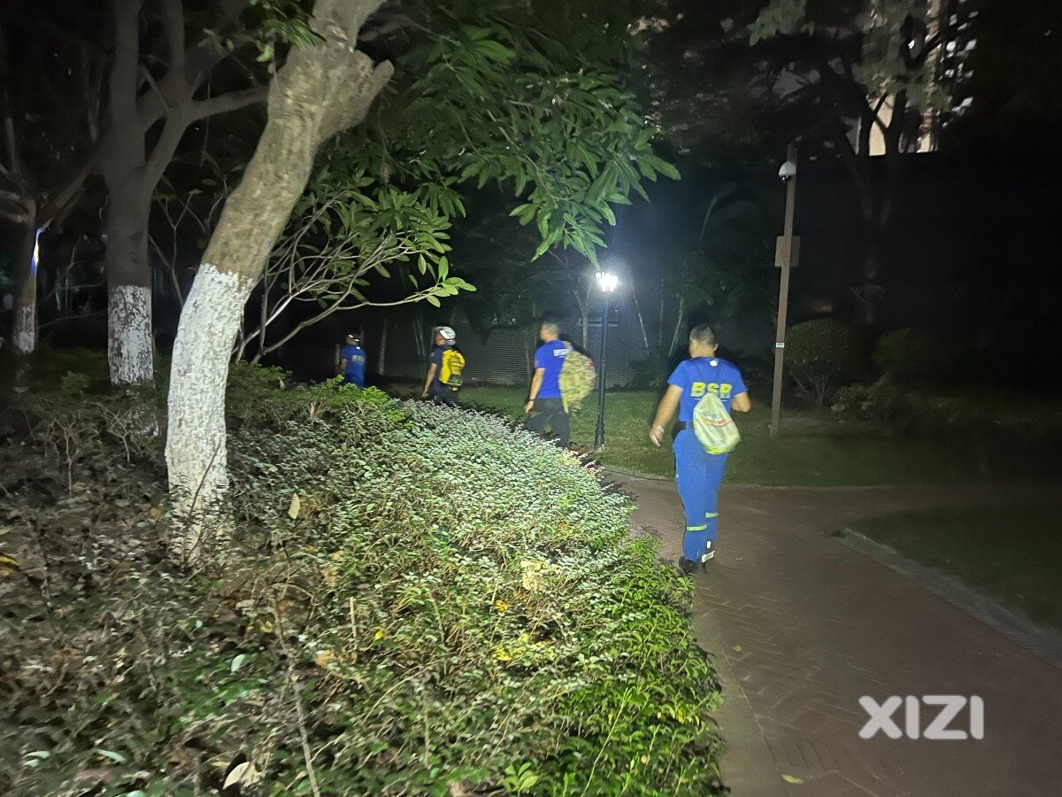 惠蓝动态丨为民除蜂，排忧解难我最行