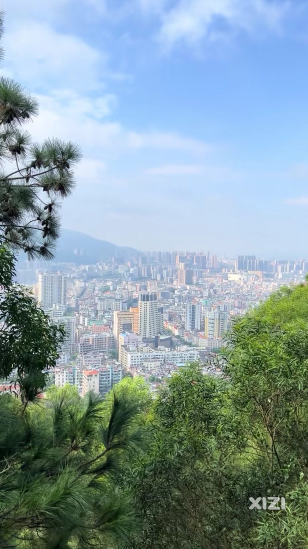 飞鹅岭的树木长得密密麻麻。不修整一下看不到远处风景哦