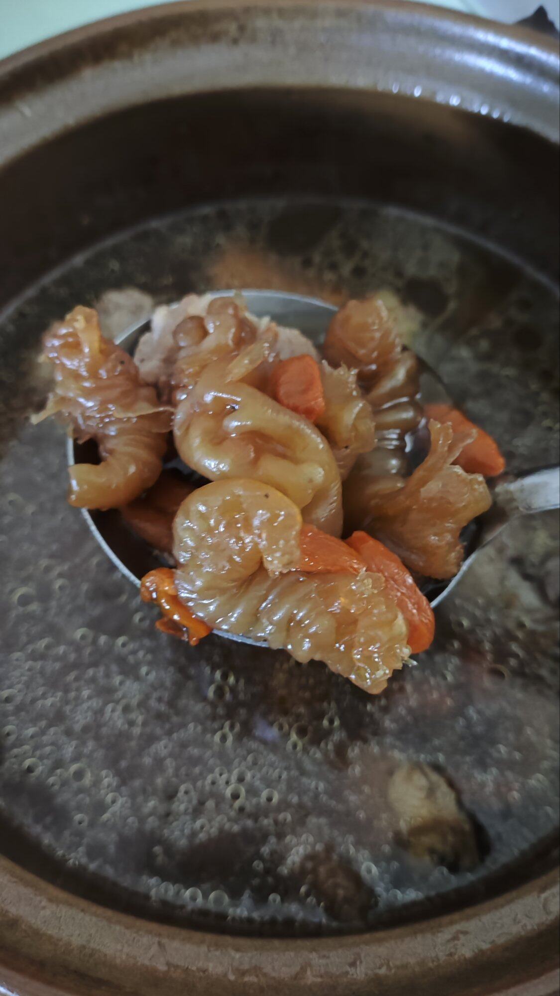 今晚我妈煲花胶汤喝