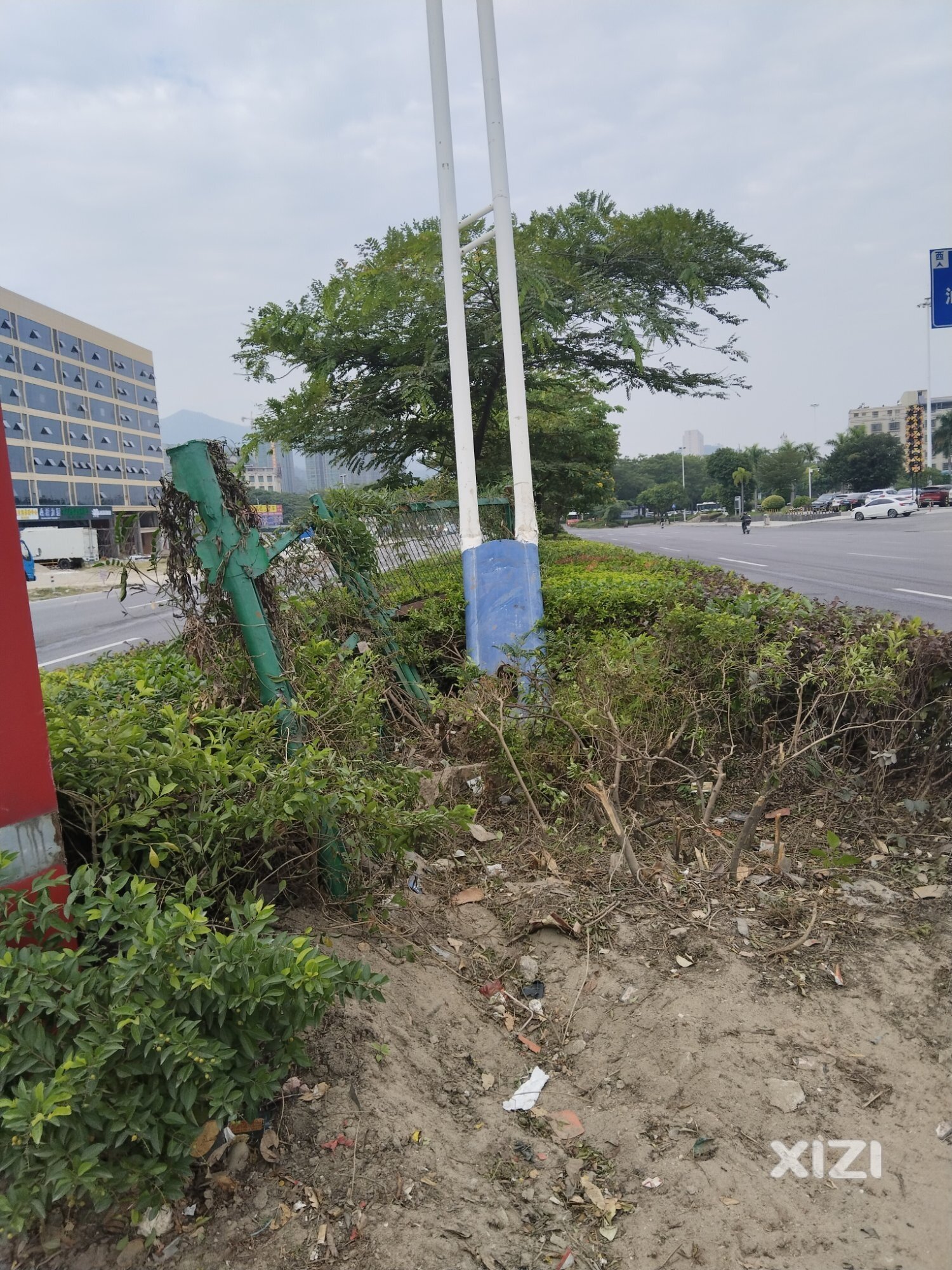 花池和路灯被撞