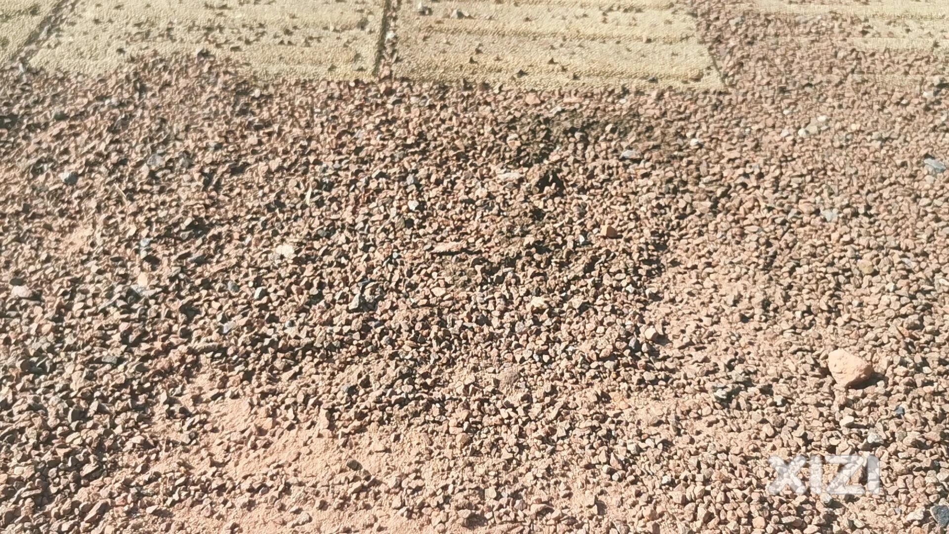 下角梅湖大道破烂不堪