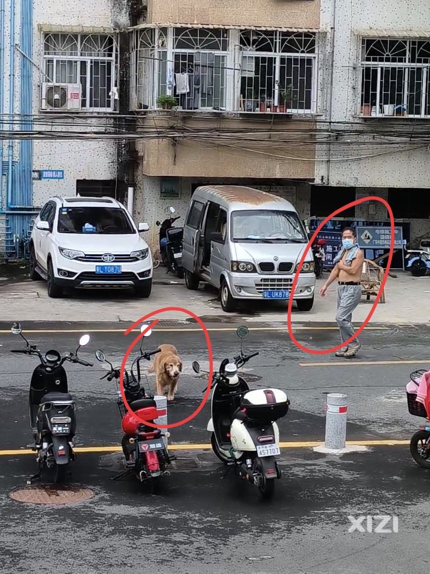 这座文明城市，有些人宁愿戴口罩防被拍，而不愿带狗绳稳治安。