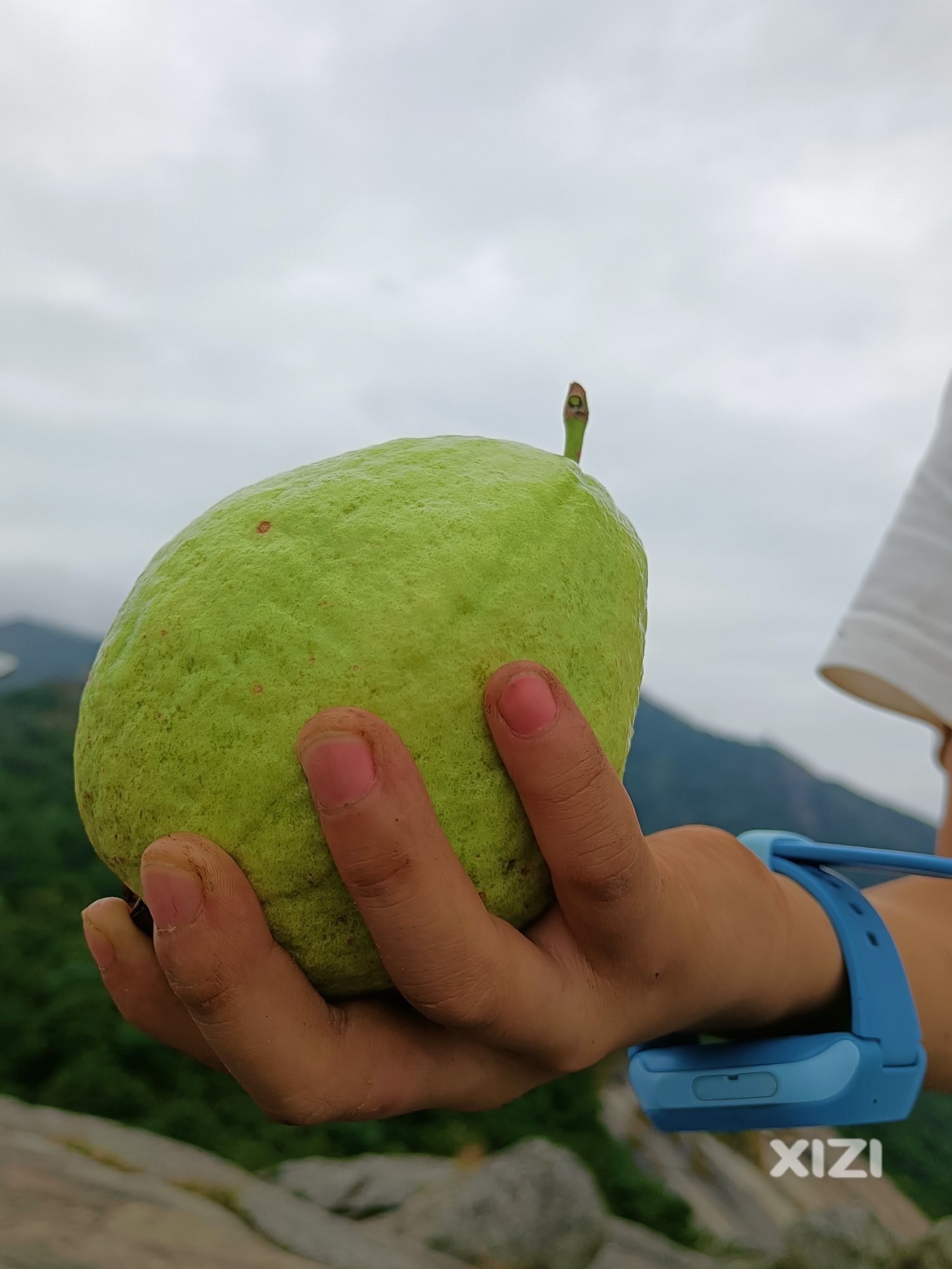 乡村振兴助农爬罗浮山这个月第十次