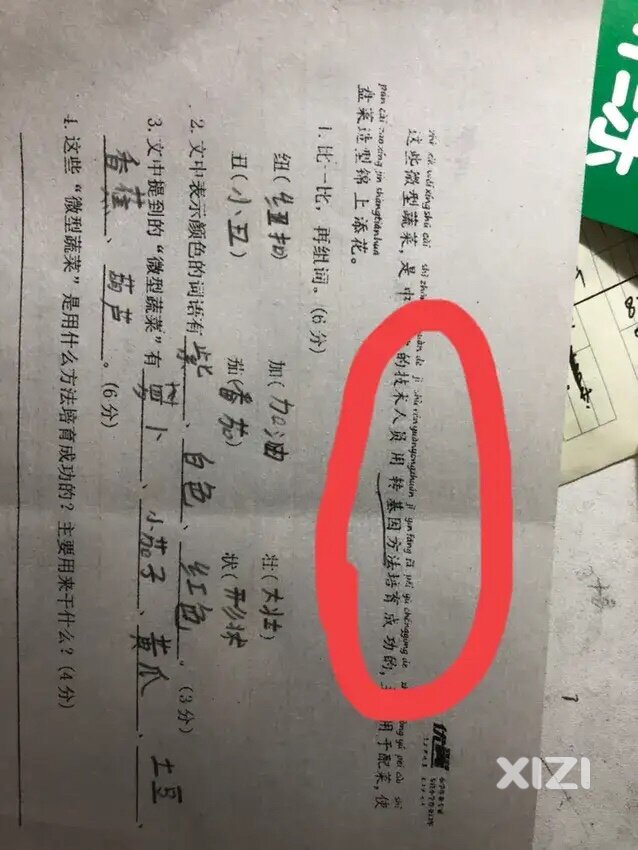介绍转基因优点的文章出现在小学二年级的试卷上，正常吗？