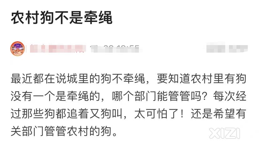 最近看了好多养狗问题，都在骂养狗的，甚至还有人说农村养狗也不牵绳问题