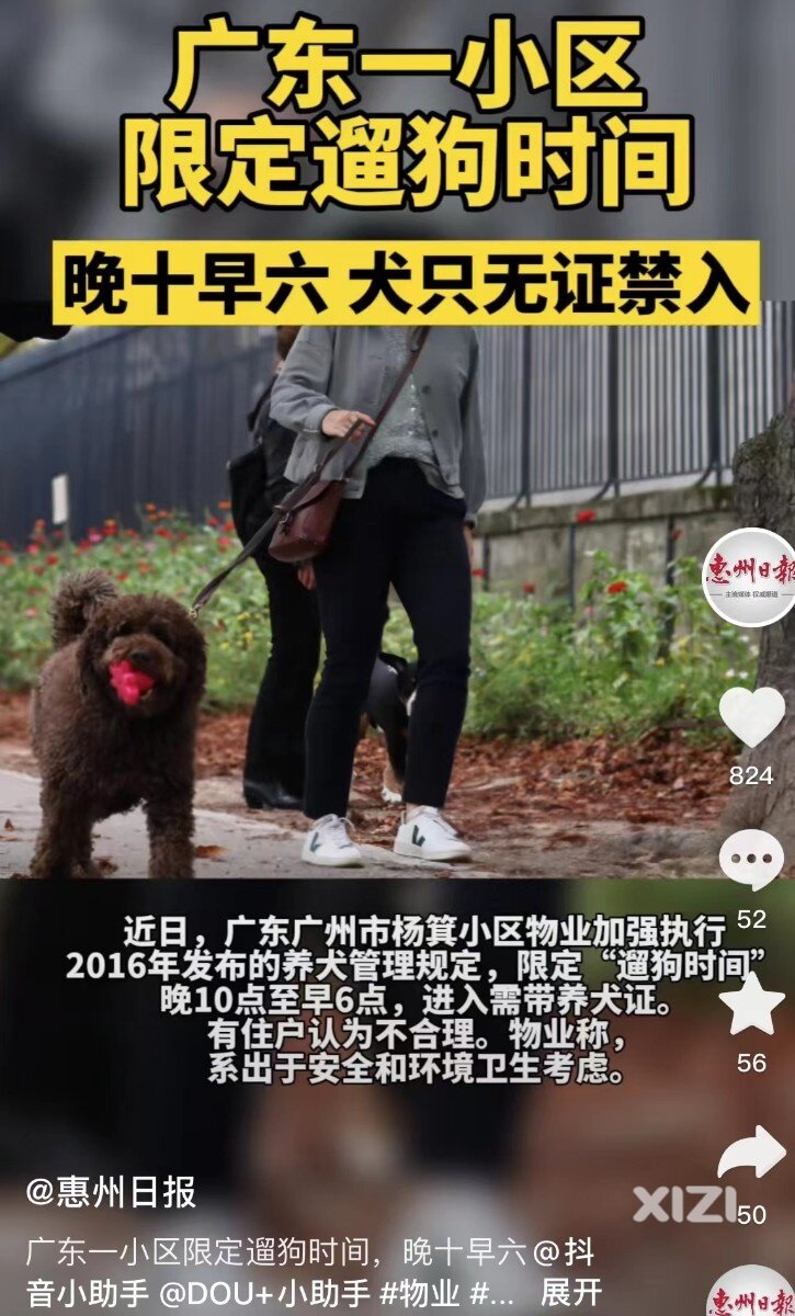 广州一小区限定“遛狗时间”，晚十早六，犬只无证禁入