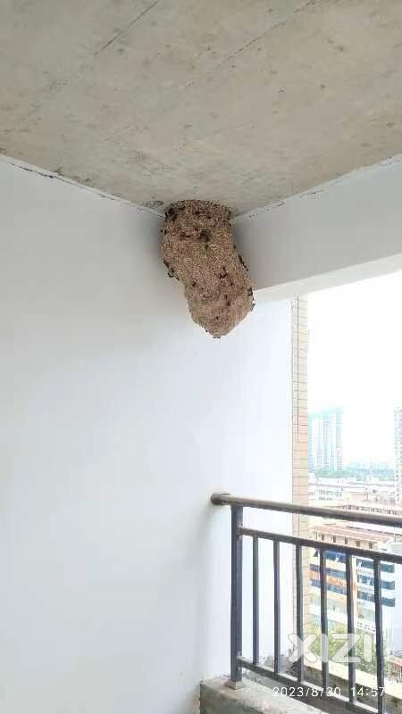 惠蓝动态丨蓝天人变身”清蜂侠“，为民解忧助大家