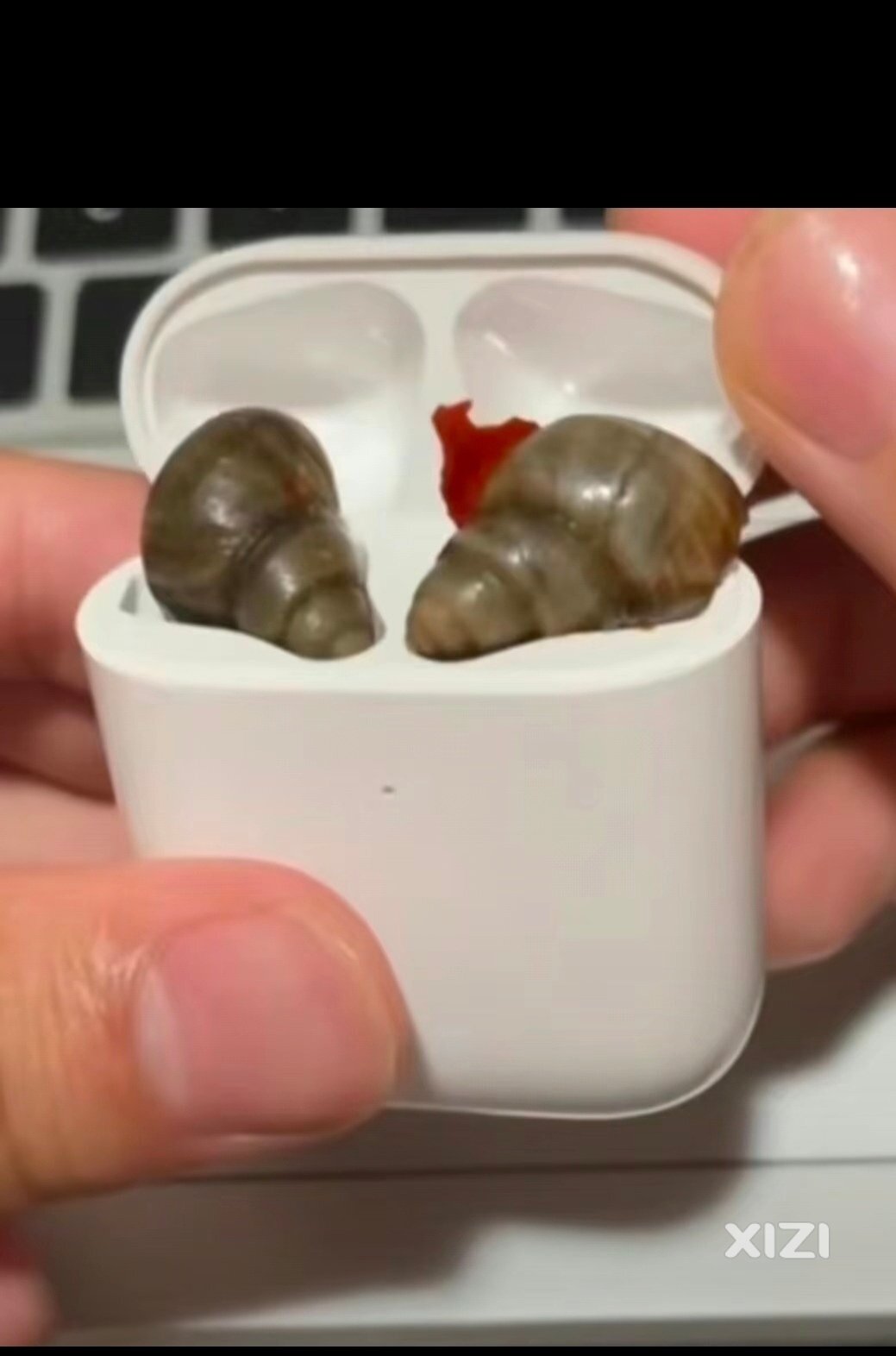 谁