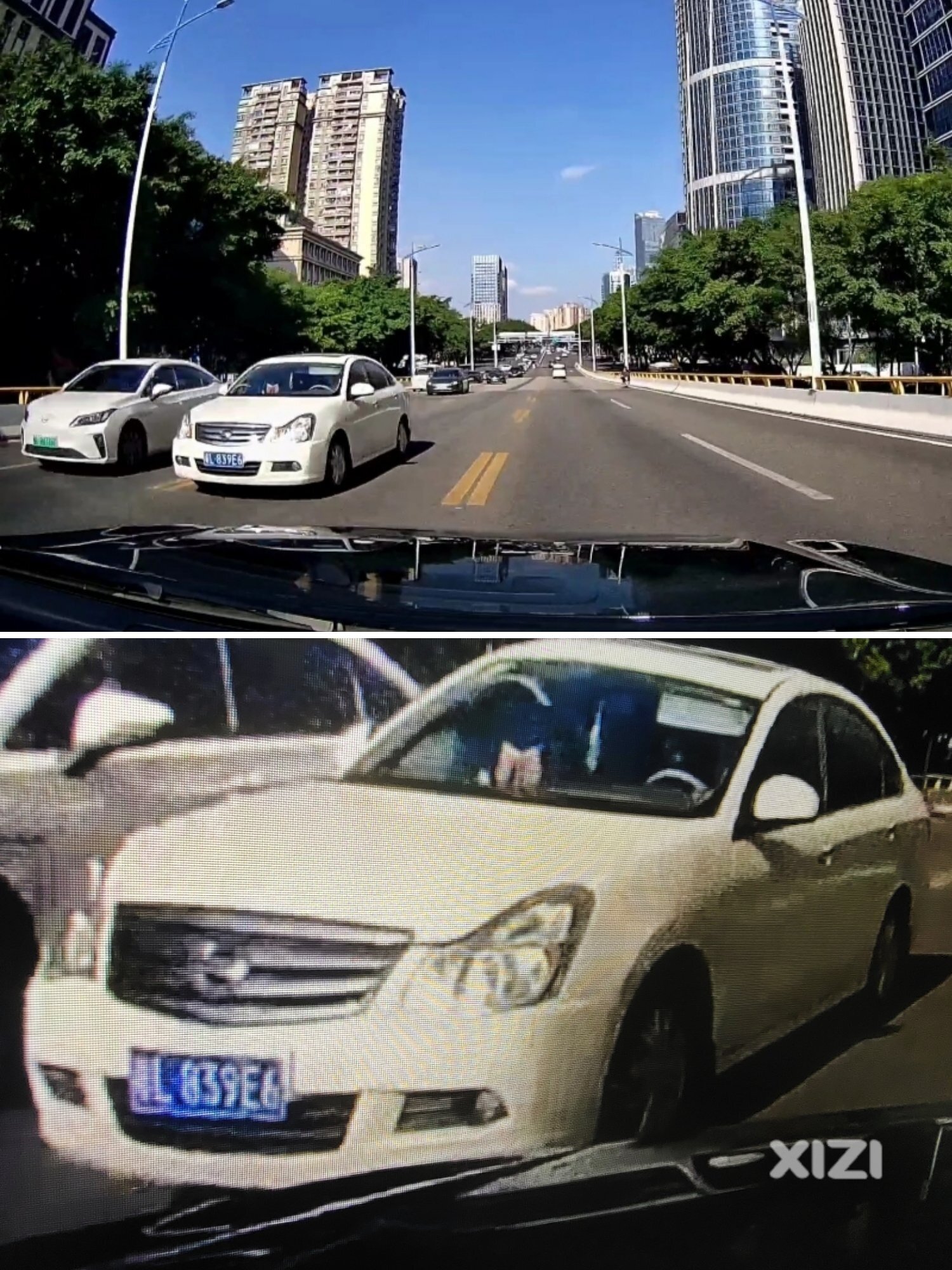 潮汐车道逆行者