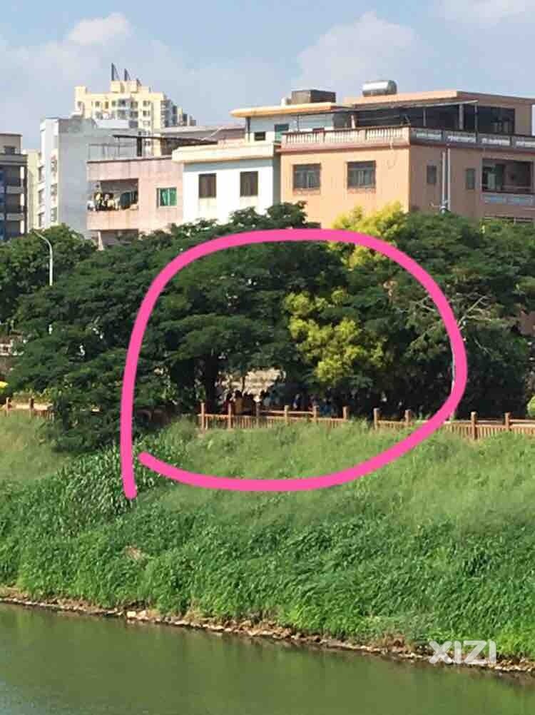 桥头边聚众赌博很久没