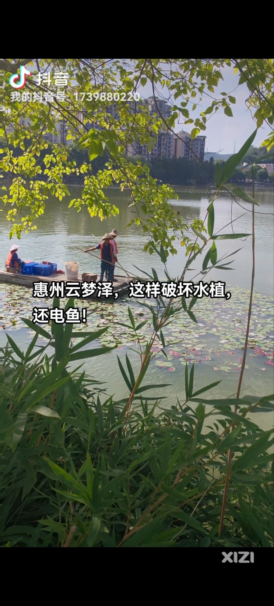 光天化日之下破坏南湖的绿化，还电鱼，真是狗胆包天！