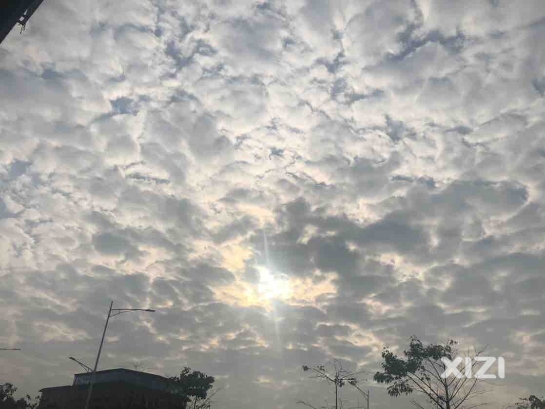 诗和远方