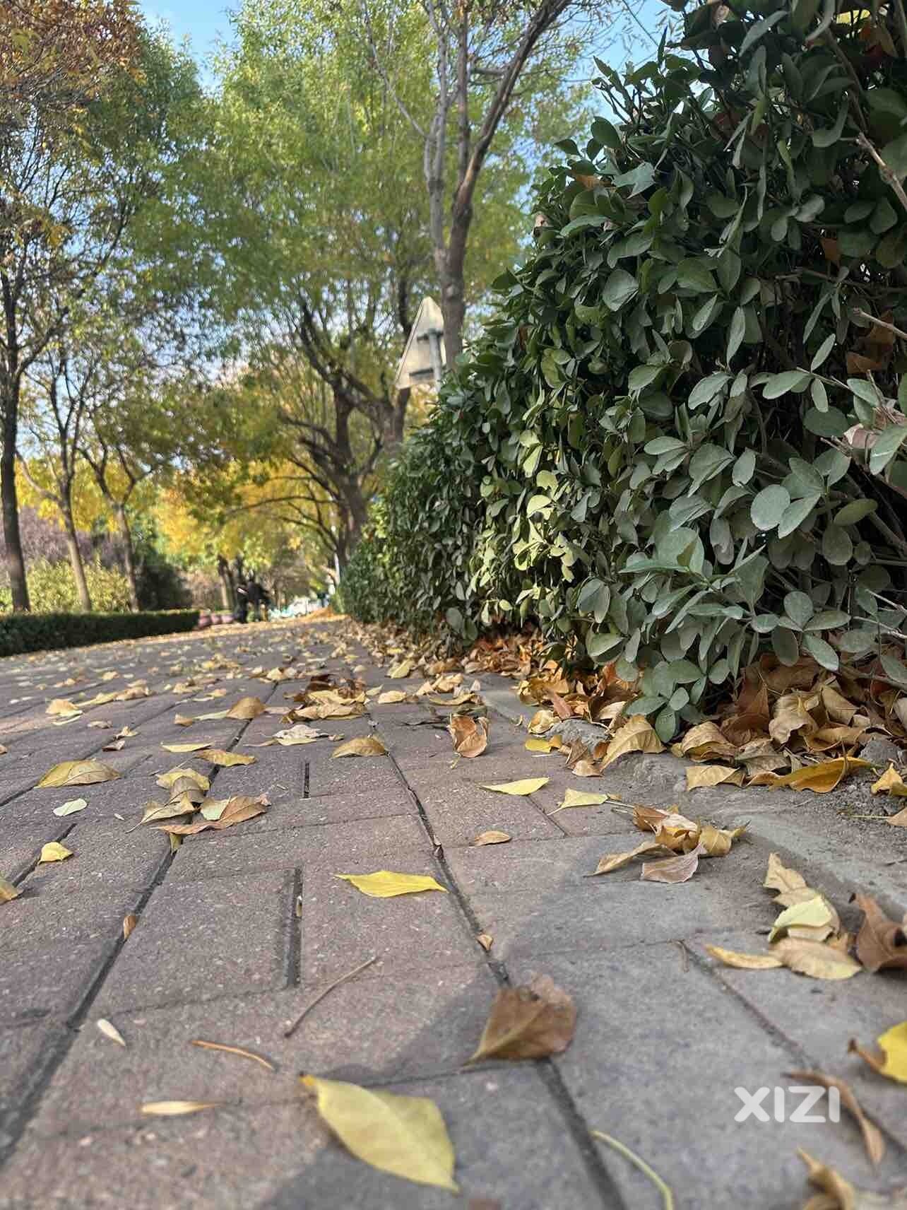 秋天就该有冬天的颜色