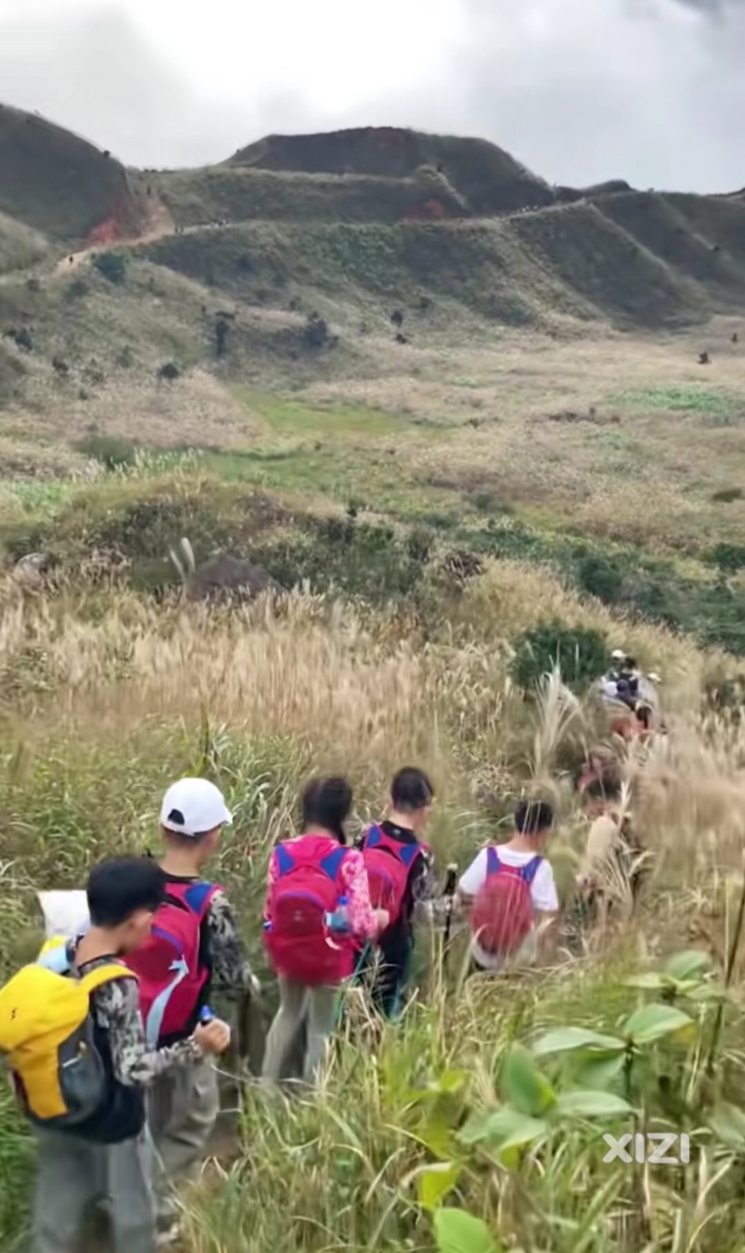 正是满山遍野芦苇荡美景盛开时候！惠州大南山值得去看看