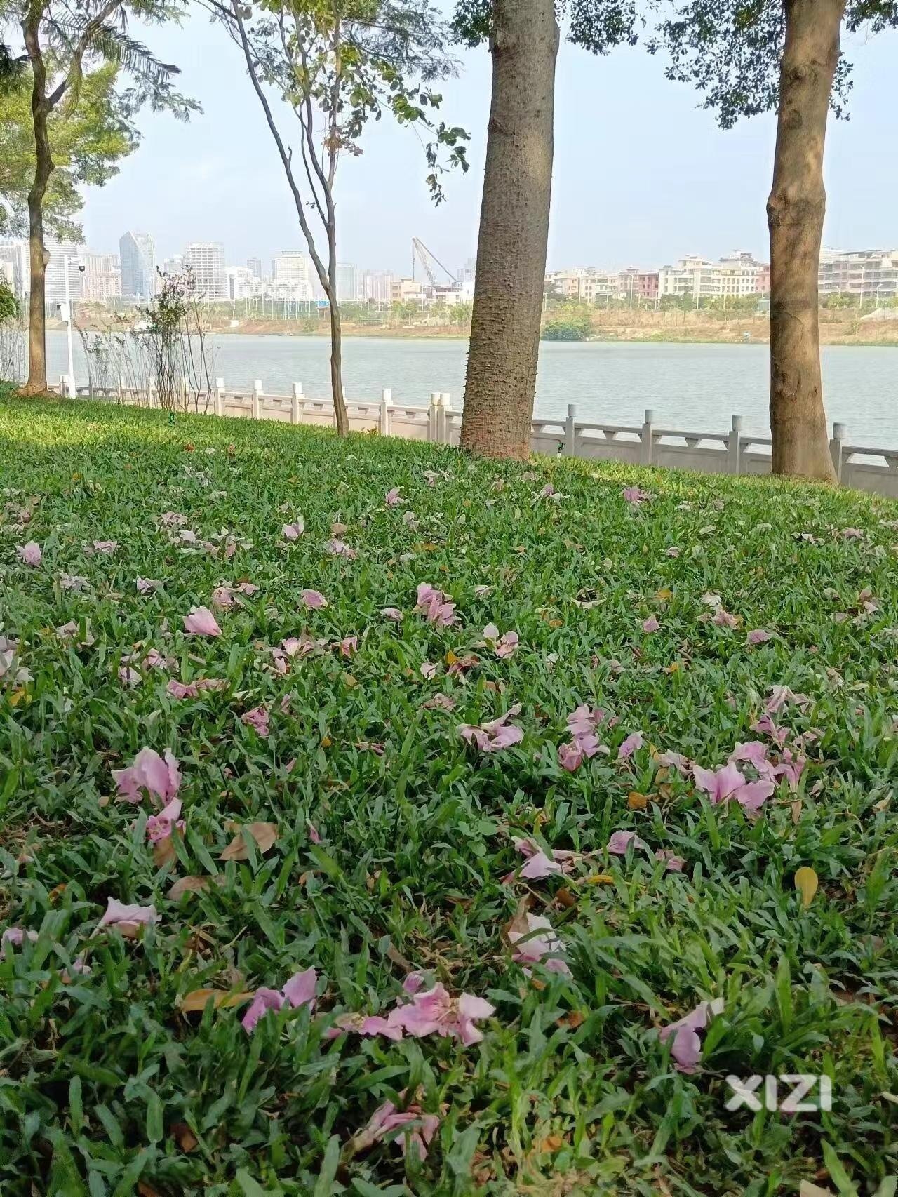 惠州的秋天就是那么美