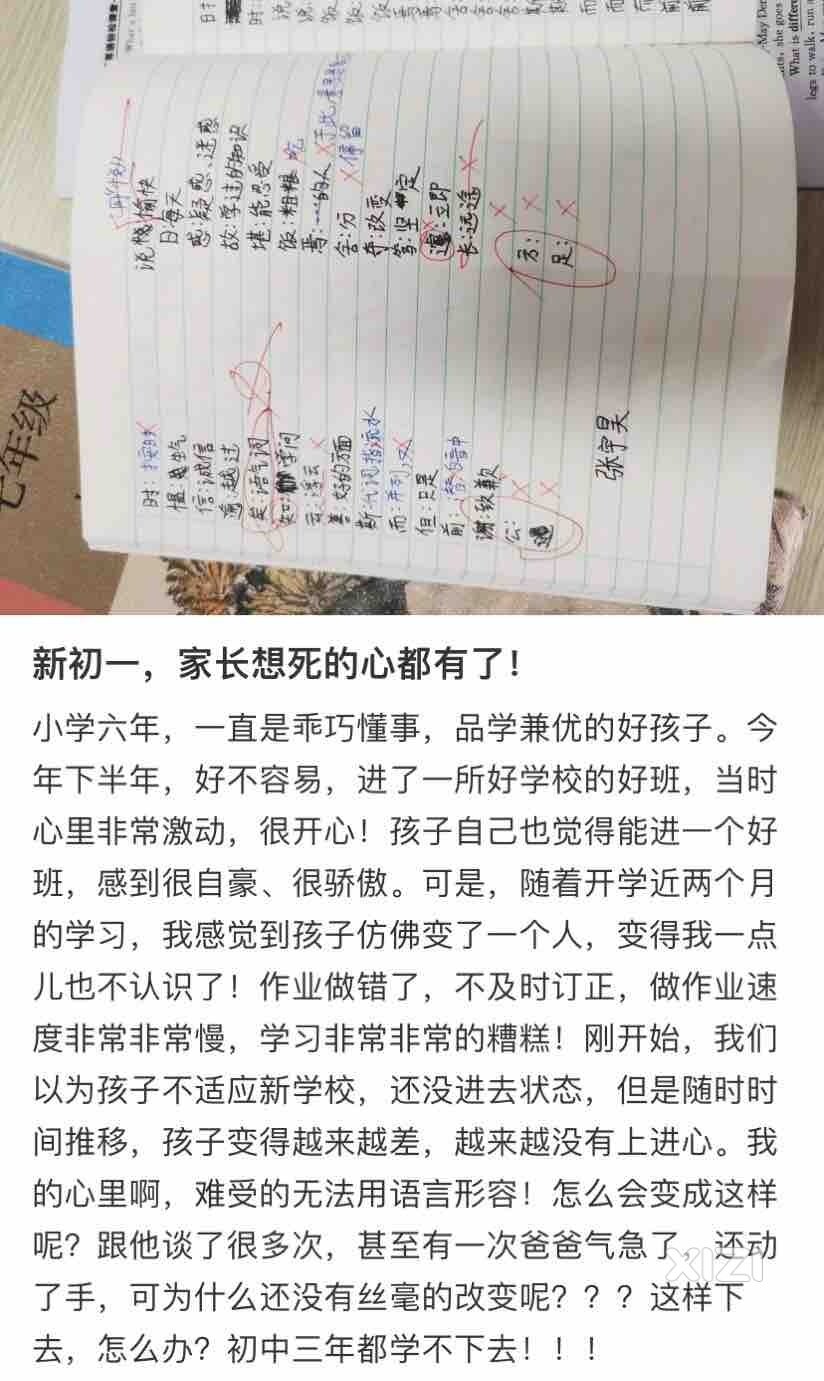 现在的中小学生到底是有多么的脆弱