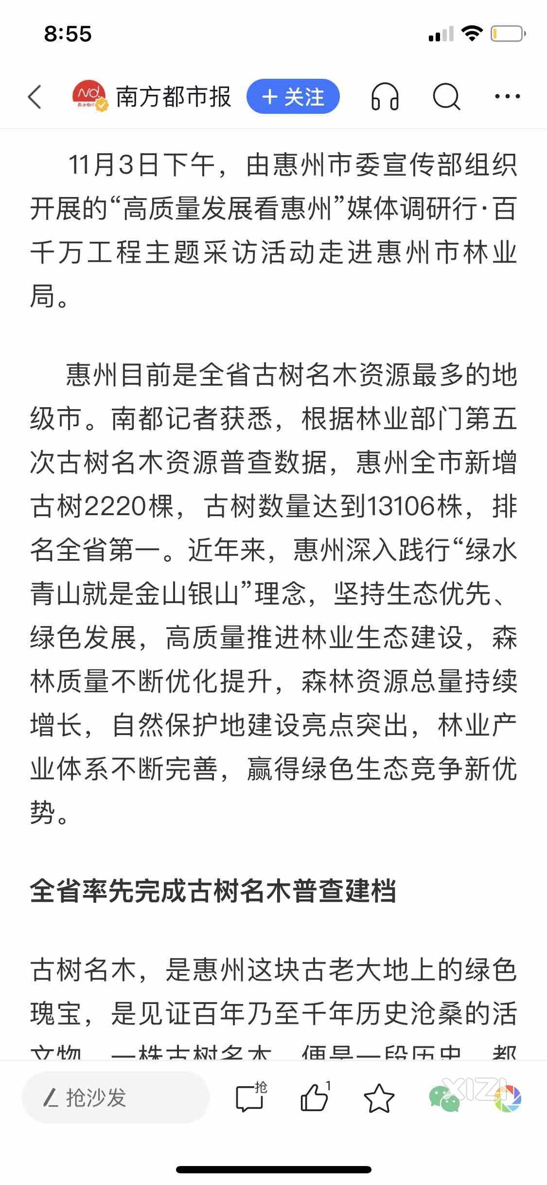 保护古树名木 留住绿美乡愁，惠州古树数量全省第一！