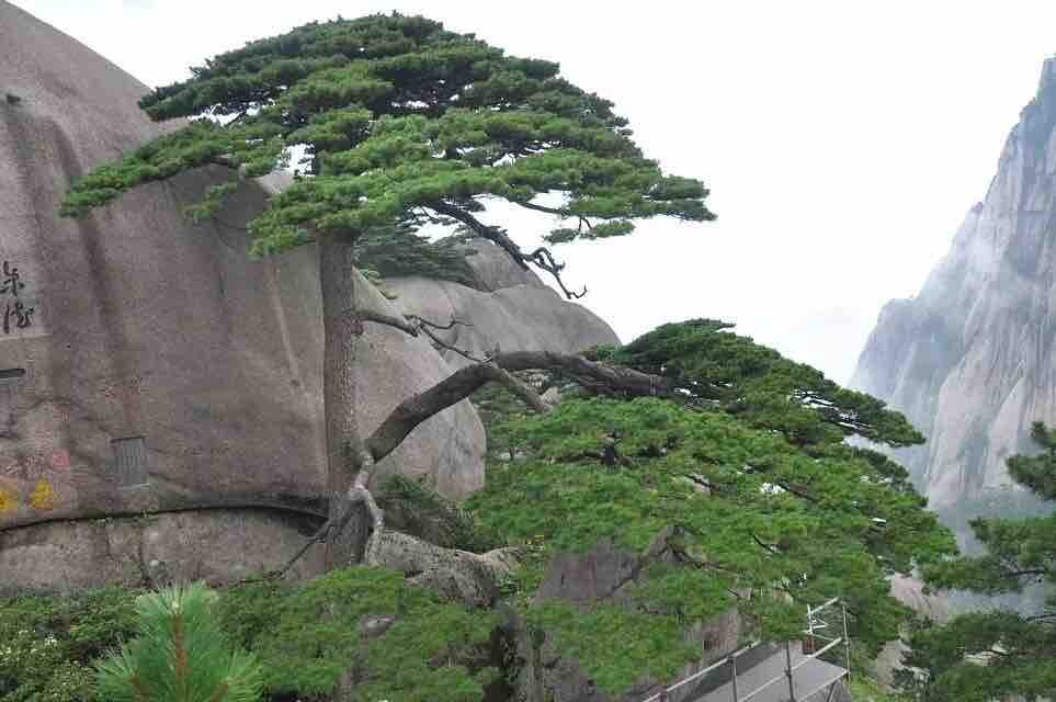 灯火阑珊的温暖和柴米油盐的充实