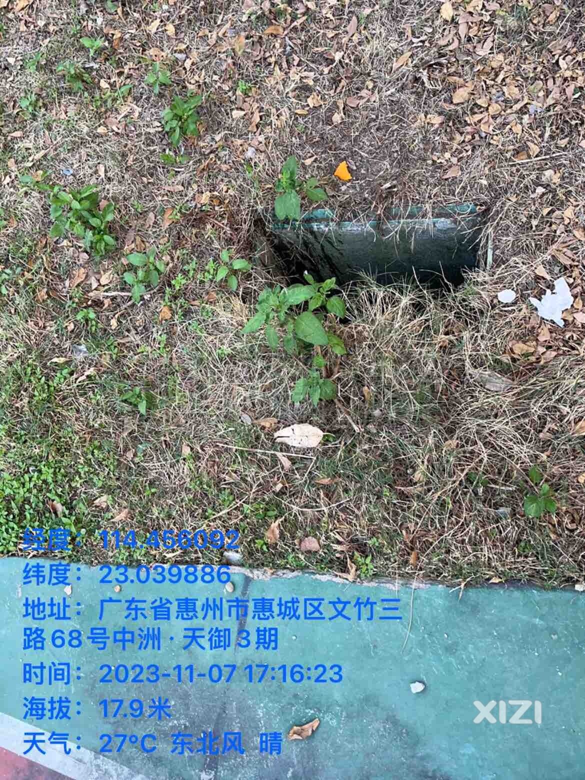 公园有个坑
