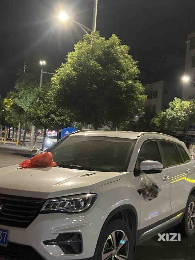 你会违停吗？被人丢垃圾了