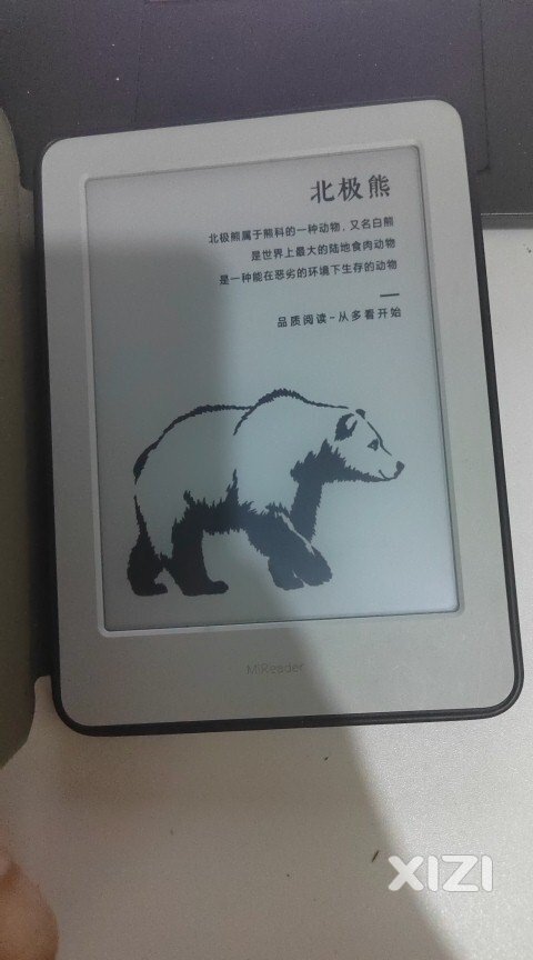 出个小米电子书，买了