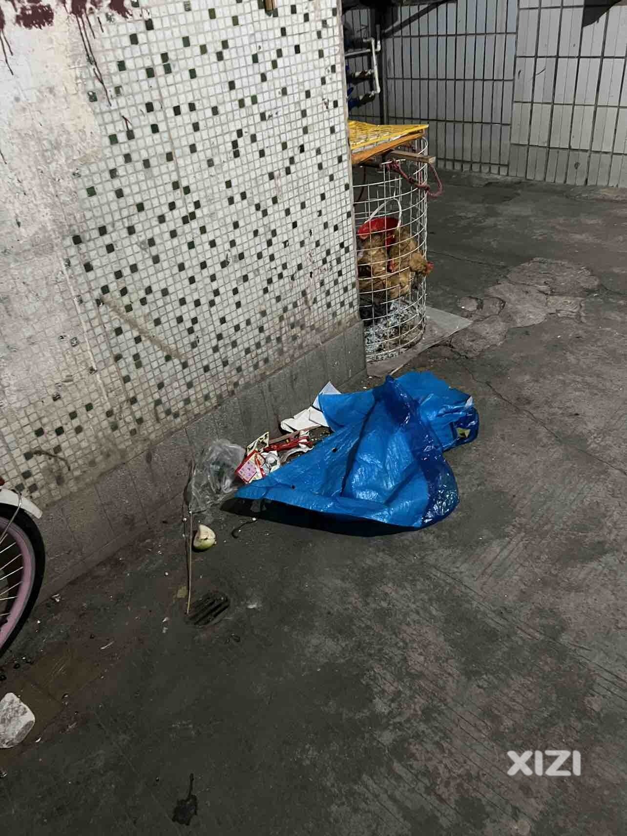 这些养鸡怎样处理