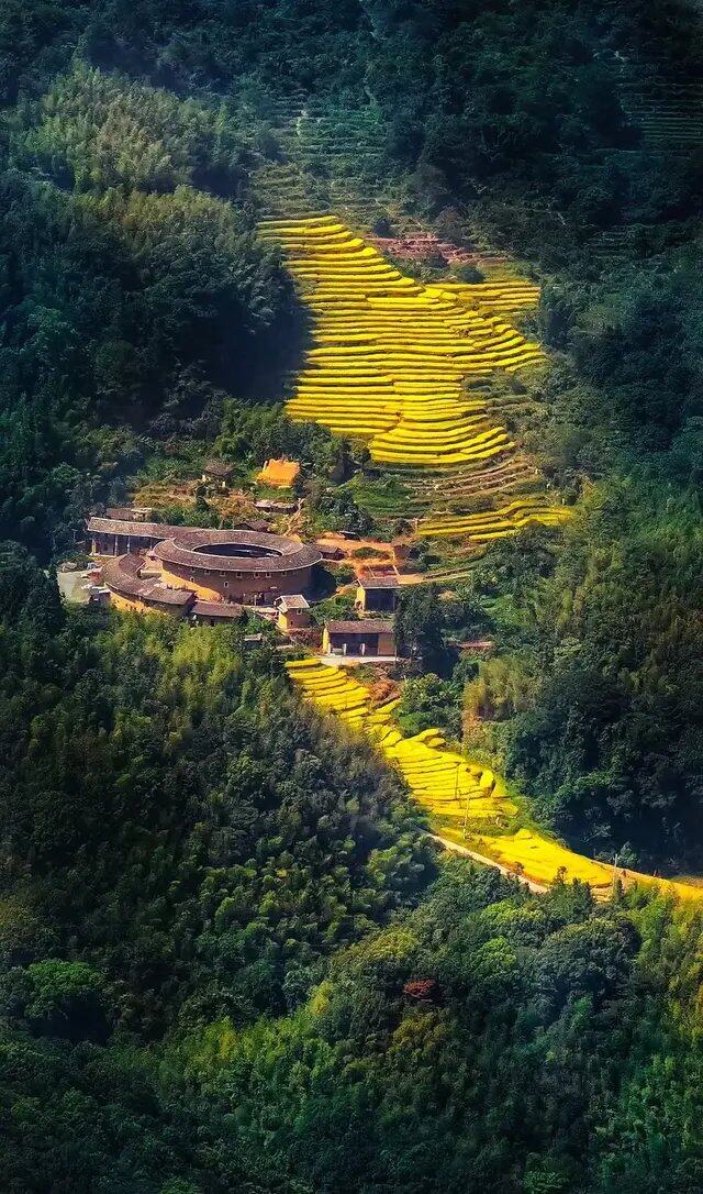 几时可以有人一起去旅游