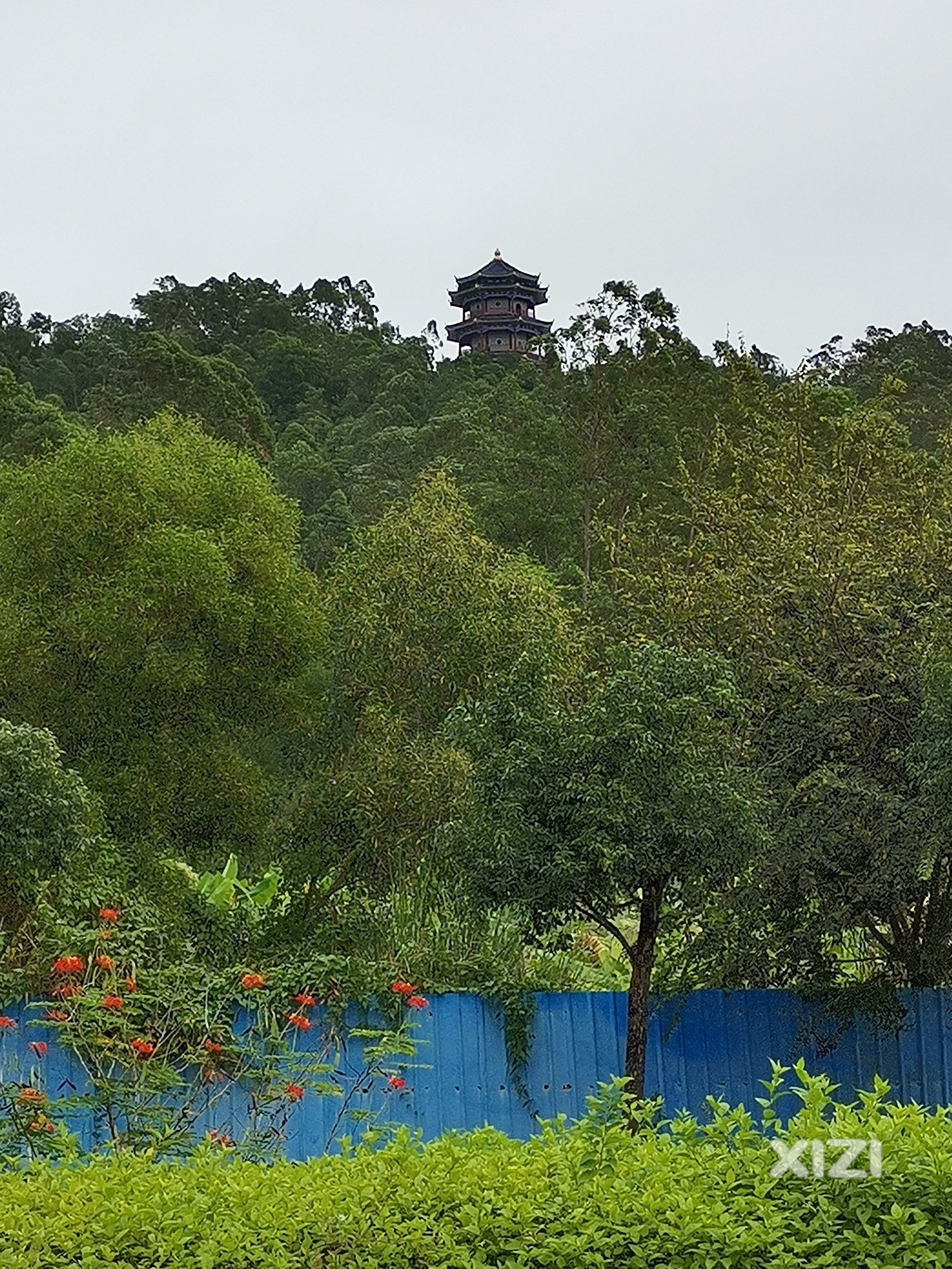 惠阳的高榜山一一登凤凰山