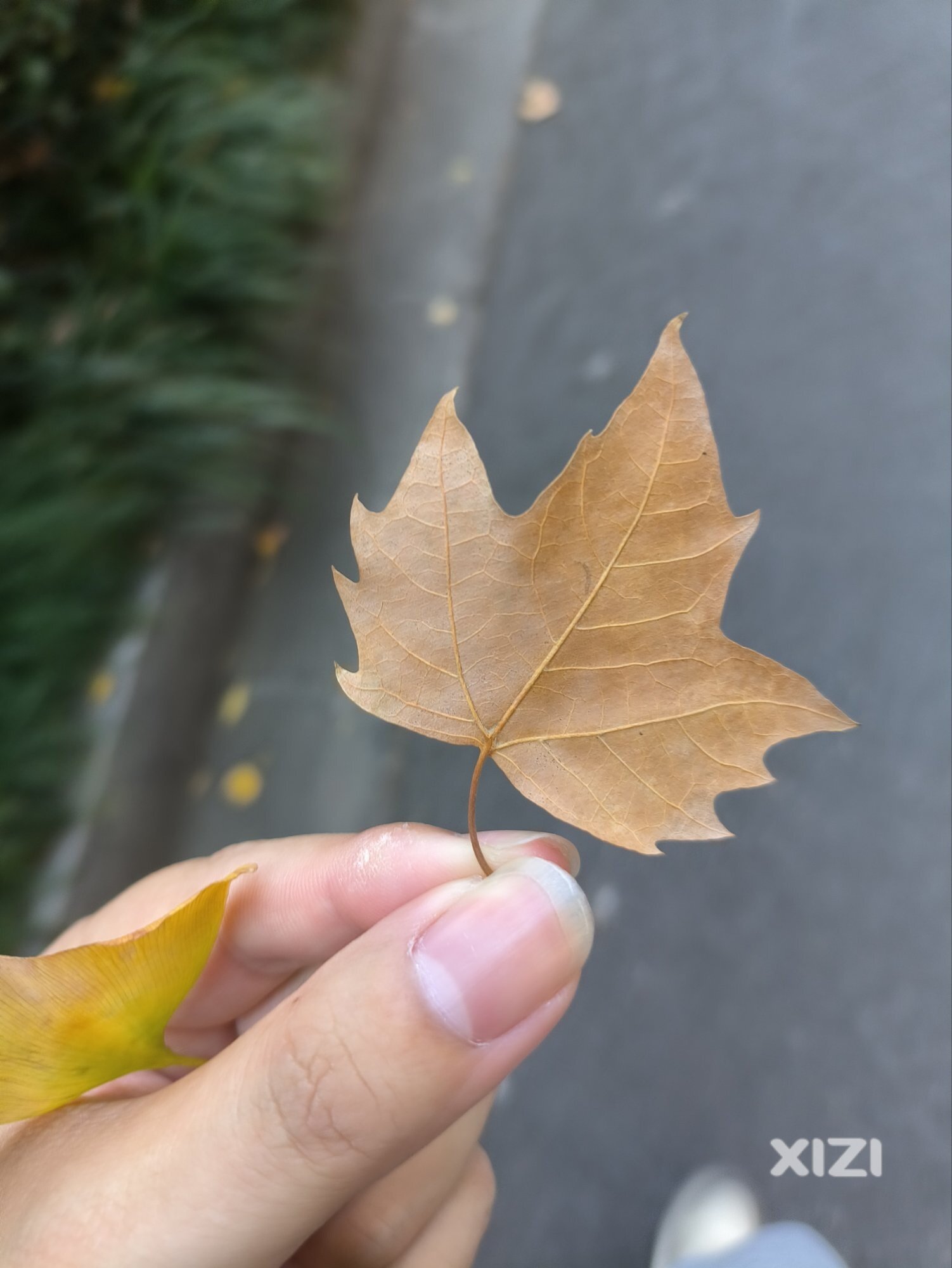 30岁前的最后一个秋