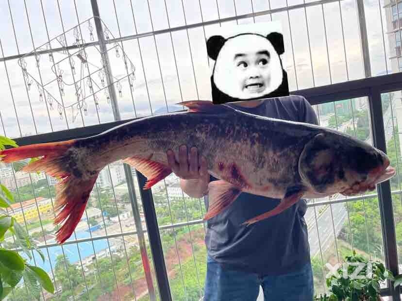 找钓场！