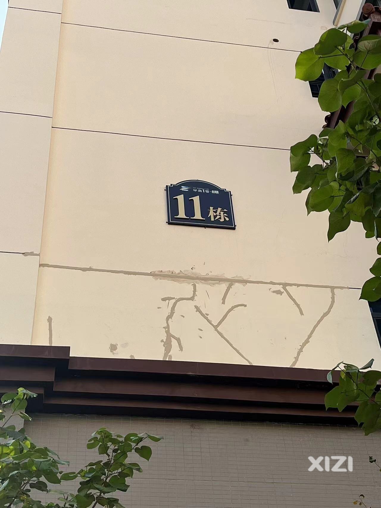 求助贴！！！