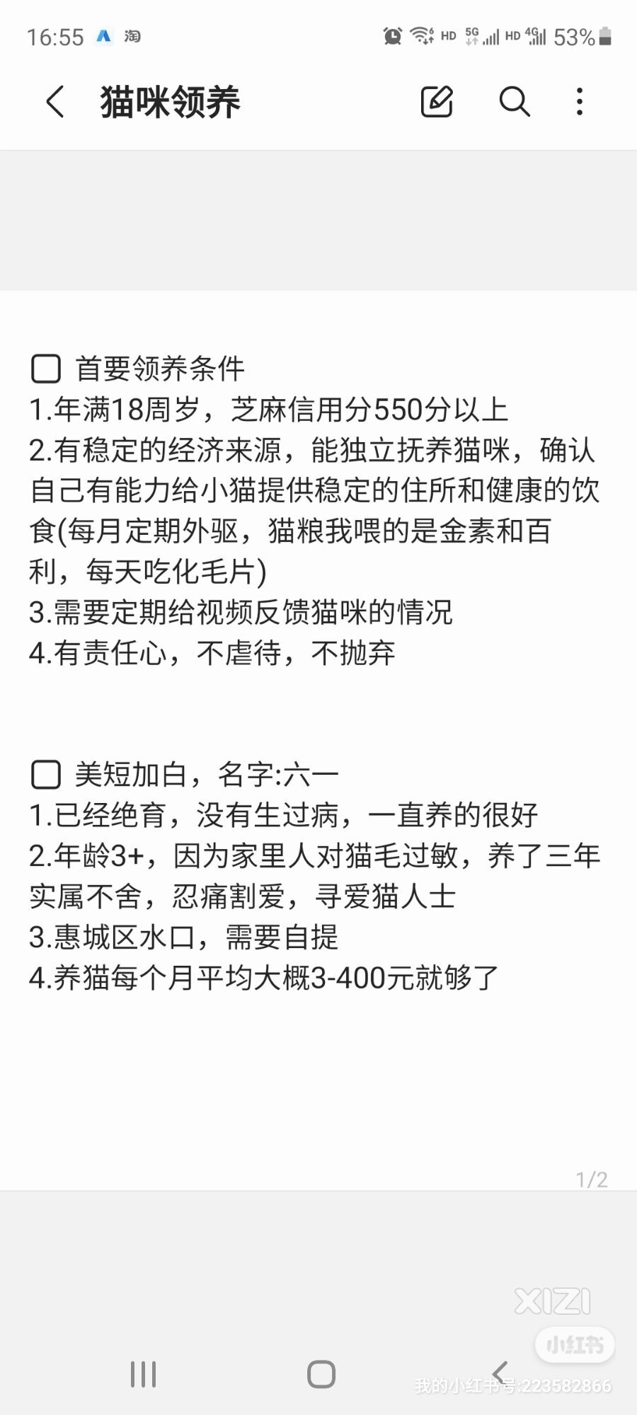 猫咪免费领养