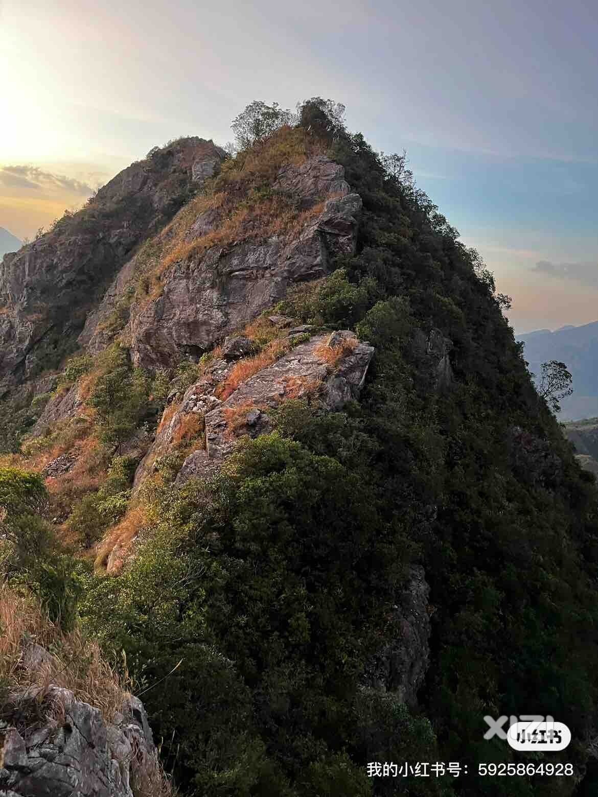 直接脱光丢山上，冷s