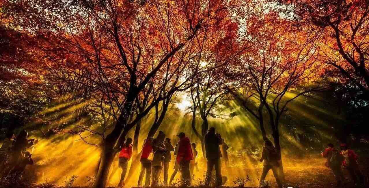 今日庐山
