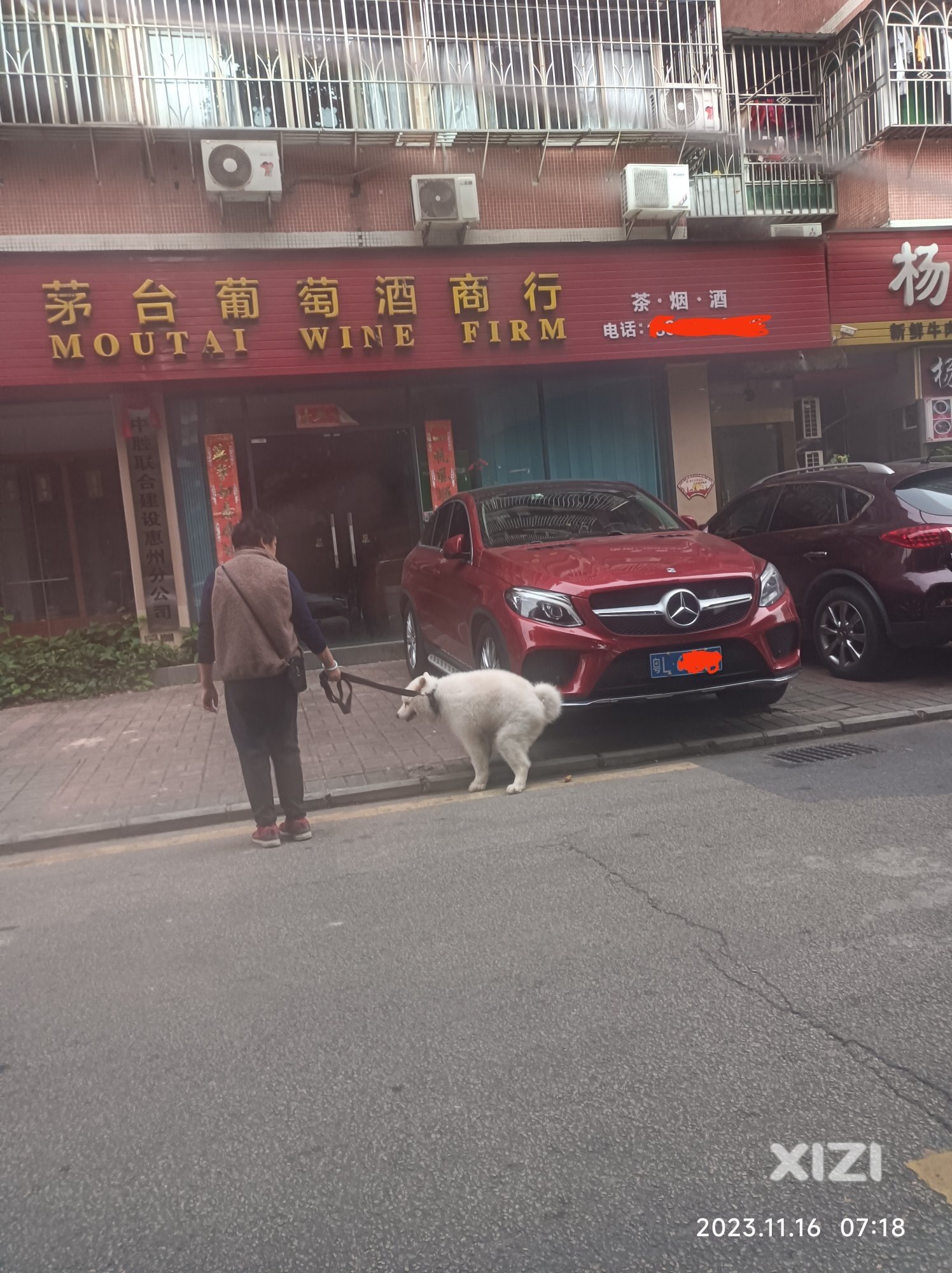文明城市复检期间，能不能清理一下狗的粪便？