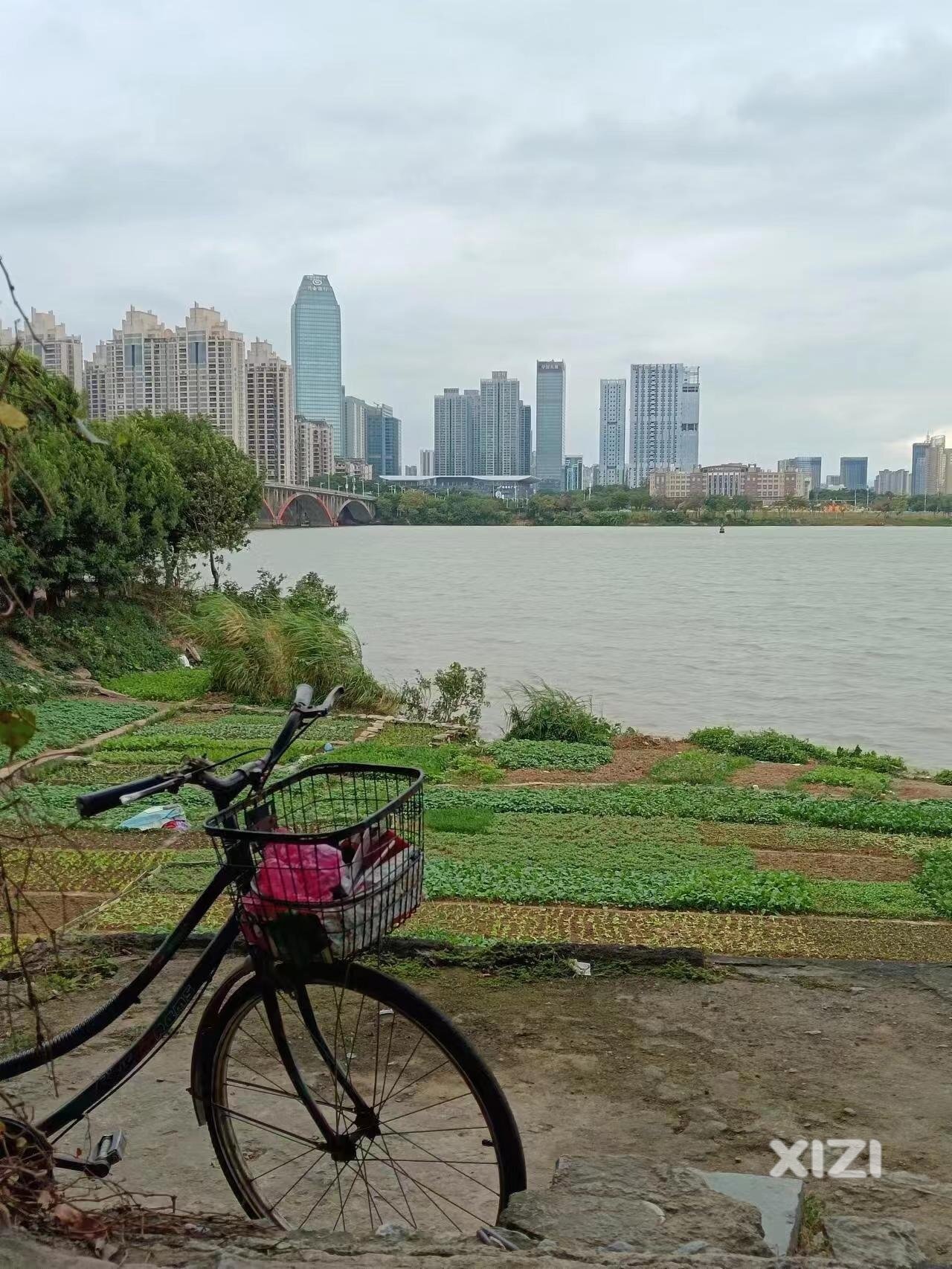 这是我很想要的生活:有车有房有菜地