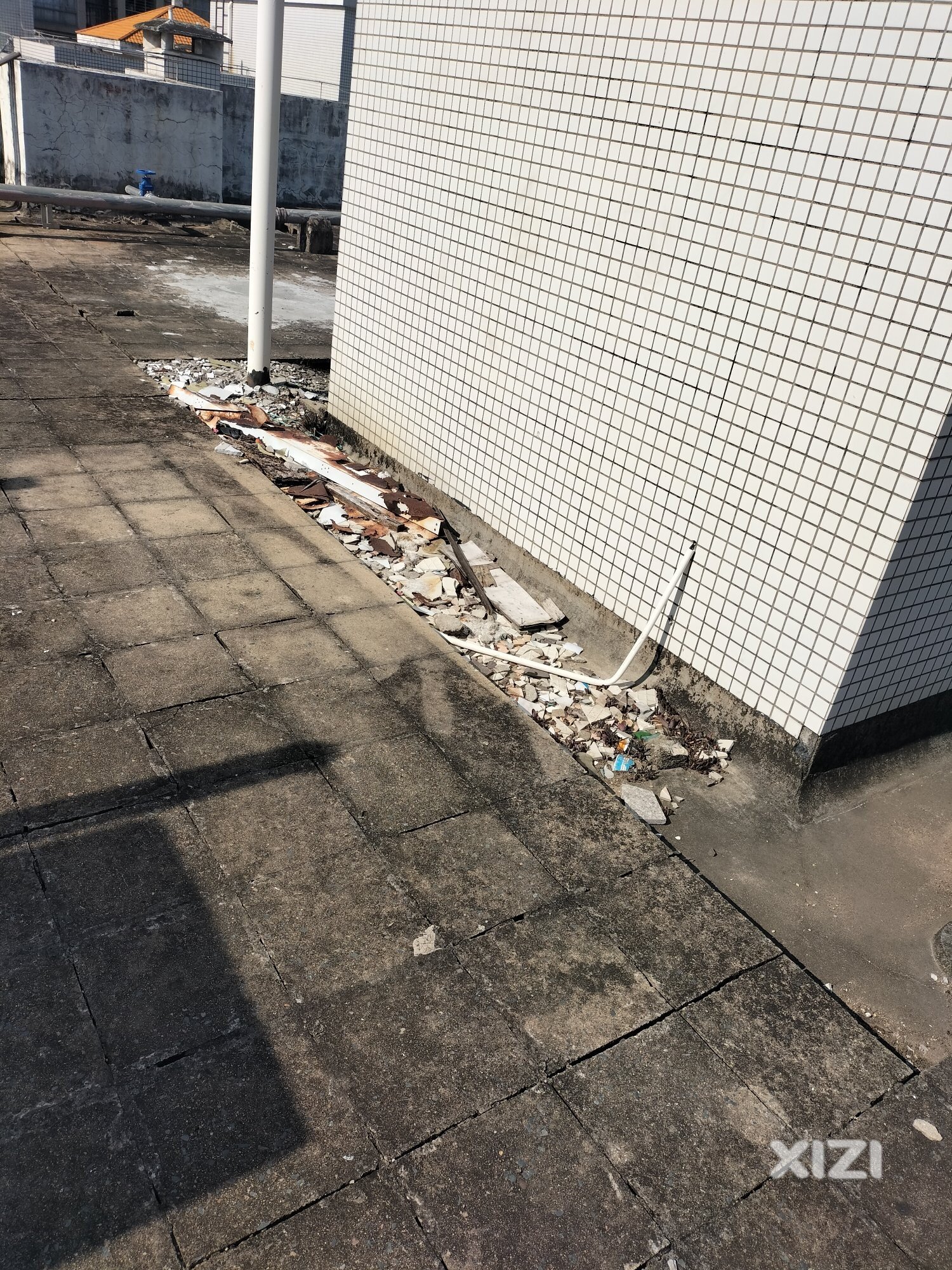 曝光脏乱差，惠州这样也能评文明城市与卫生城市？陈江街道办请处理！