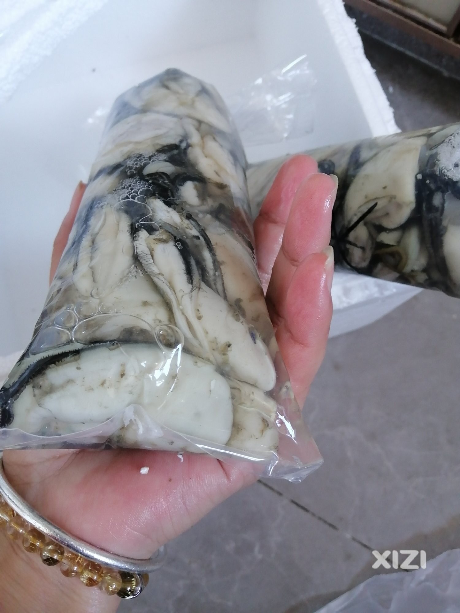 大口大口的吃肉肉