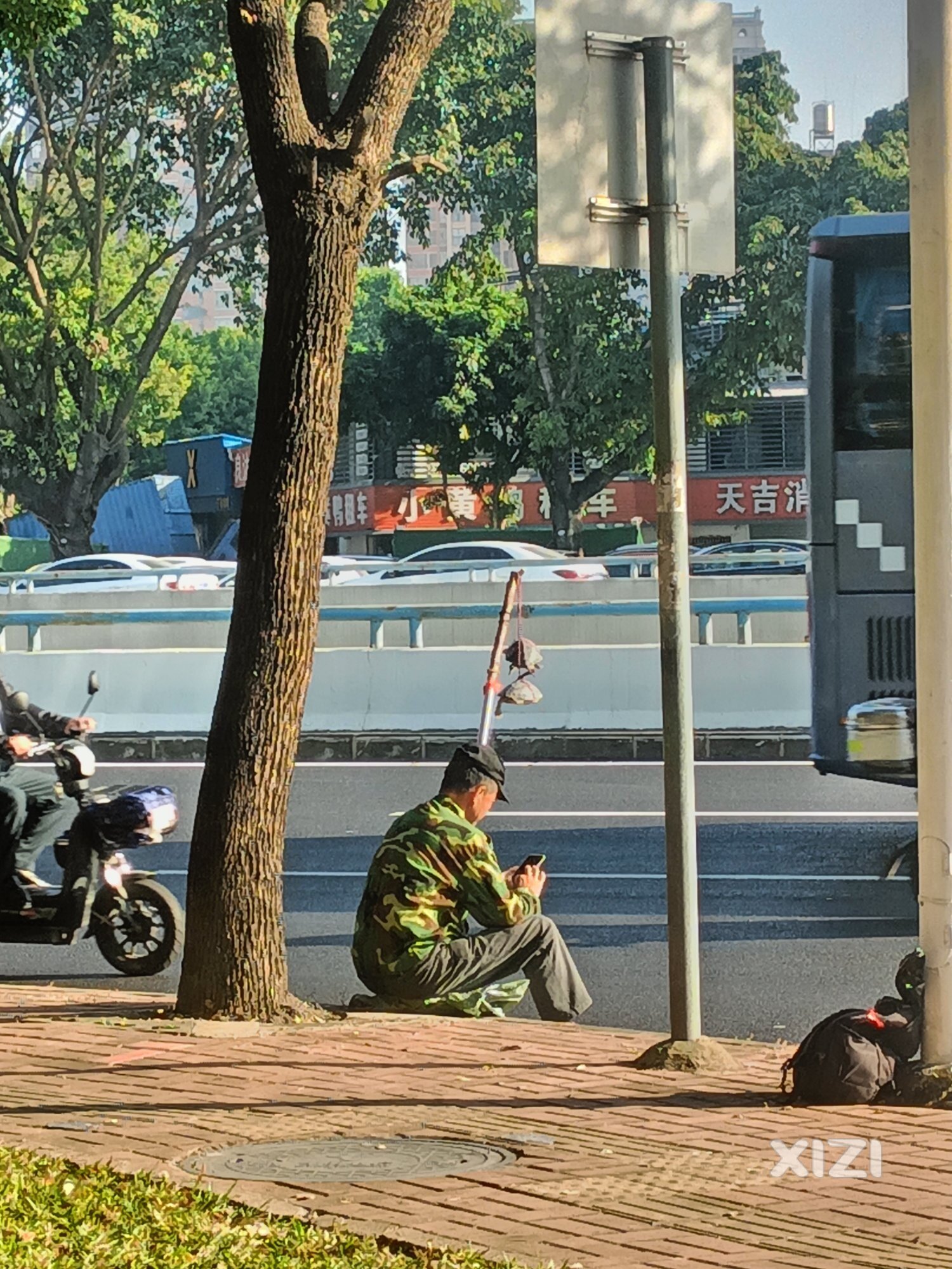 挂龟仙人