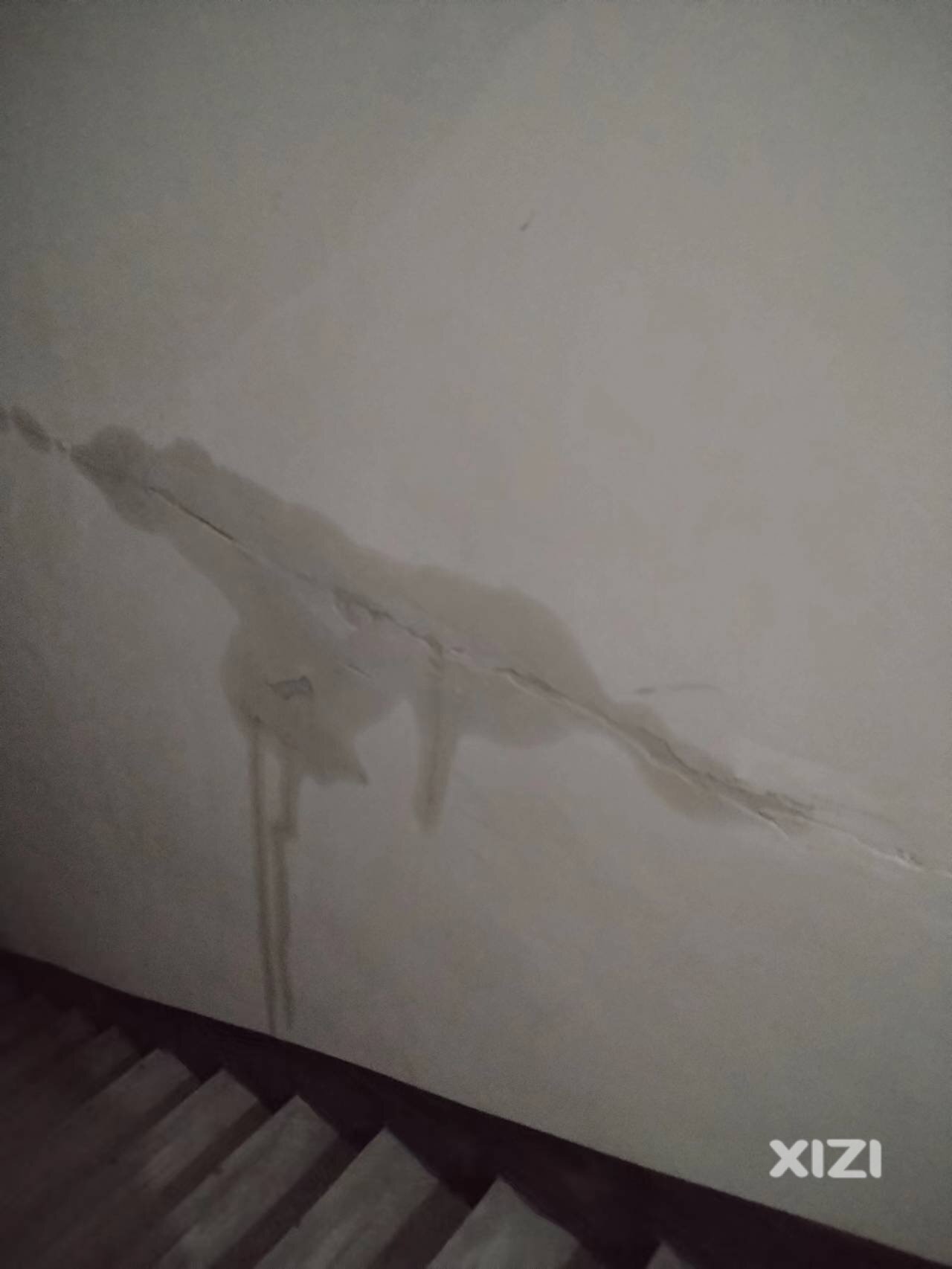 星岸城二期房屋楼顶公共区域渗水漏水，请博罗住建局让开发商处理问题
