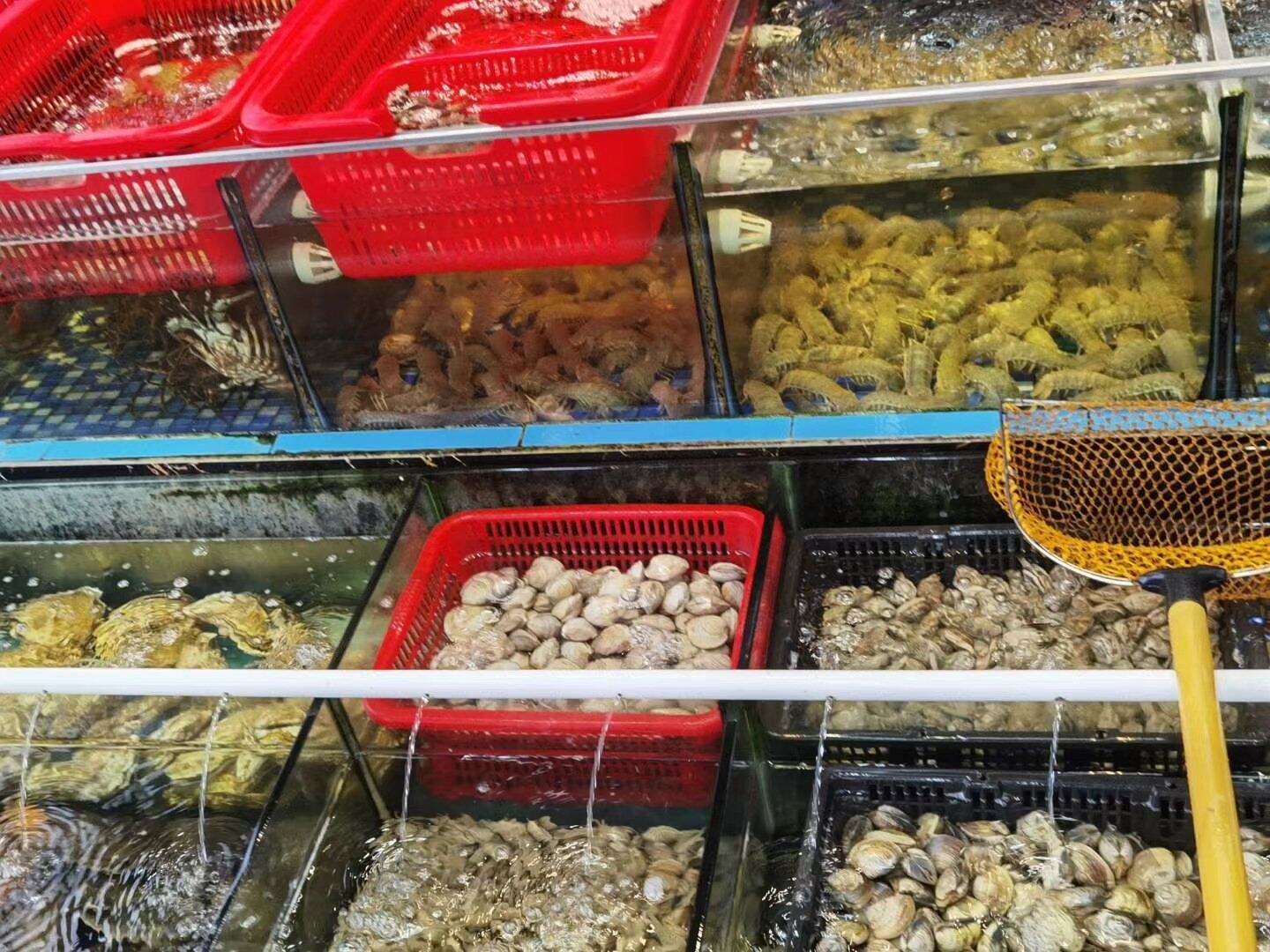 清泉石上流