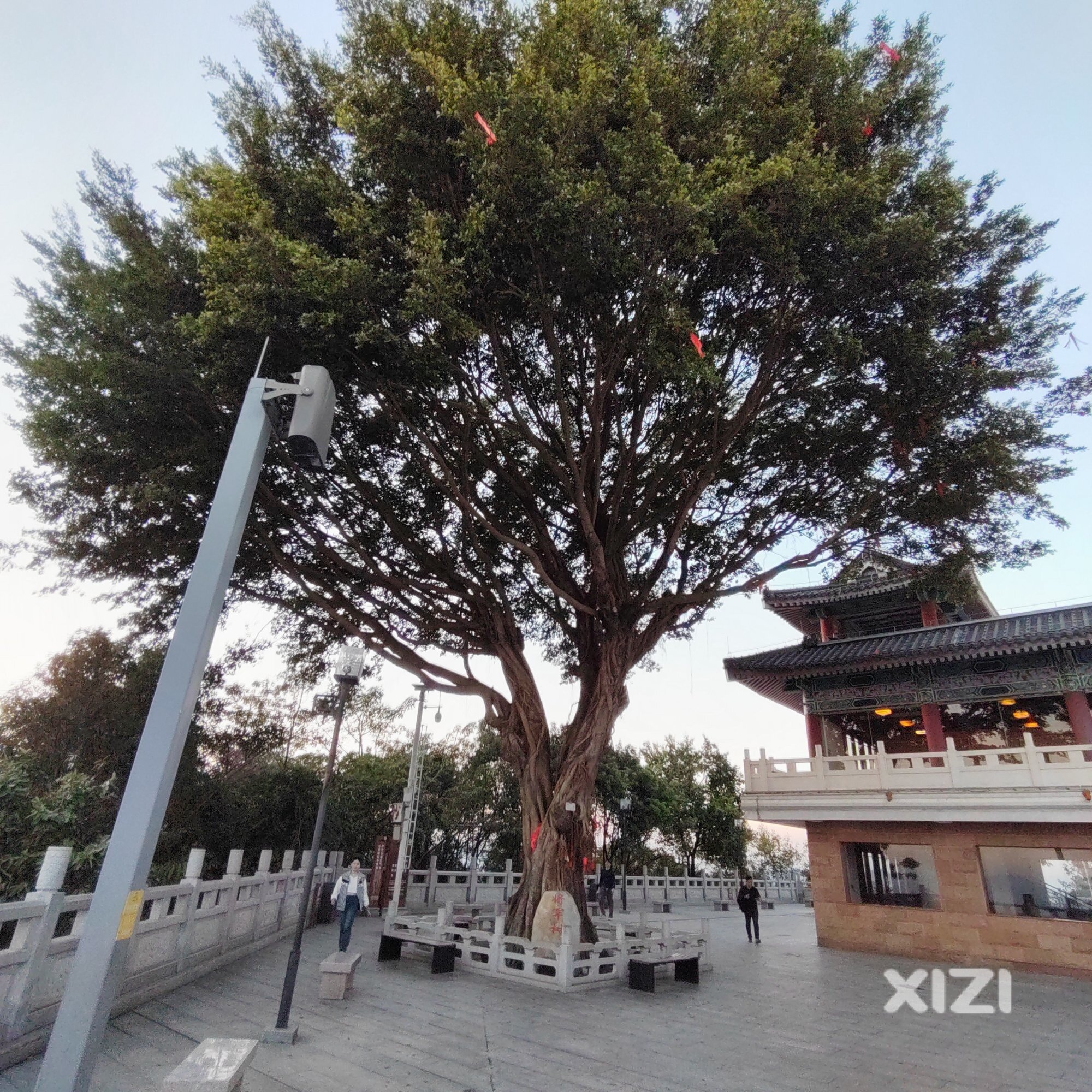 下午和朋友去爬高榜山