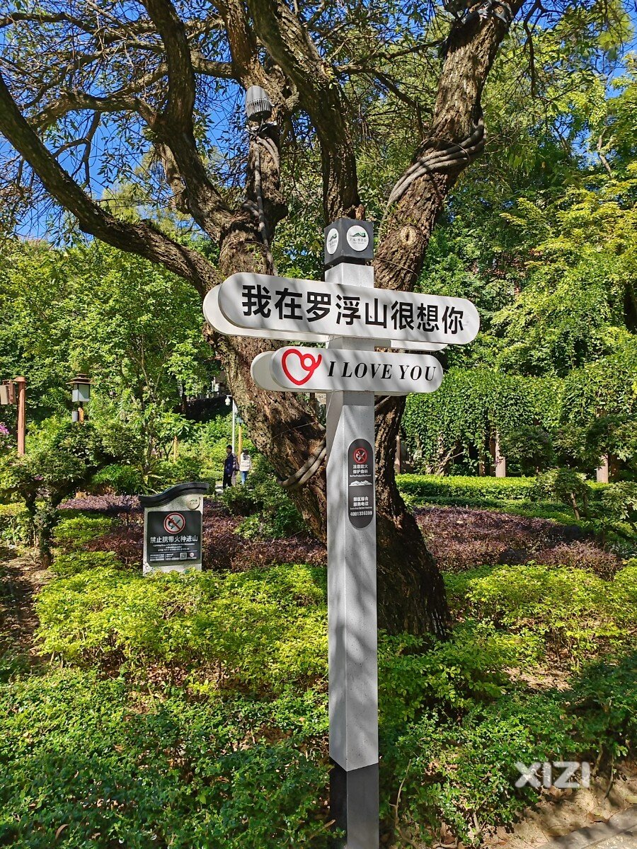 罗浮山登飞云顶，上下爬8800米，风光无限好！
