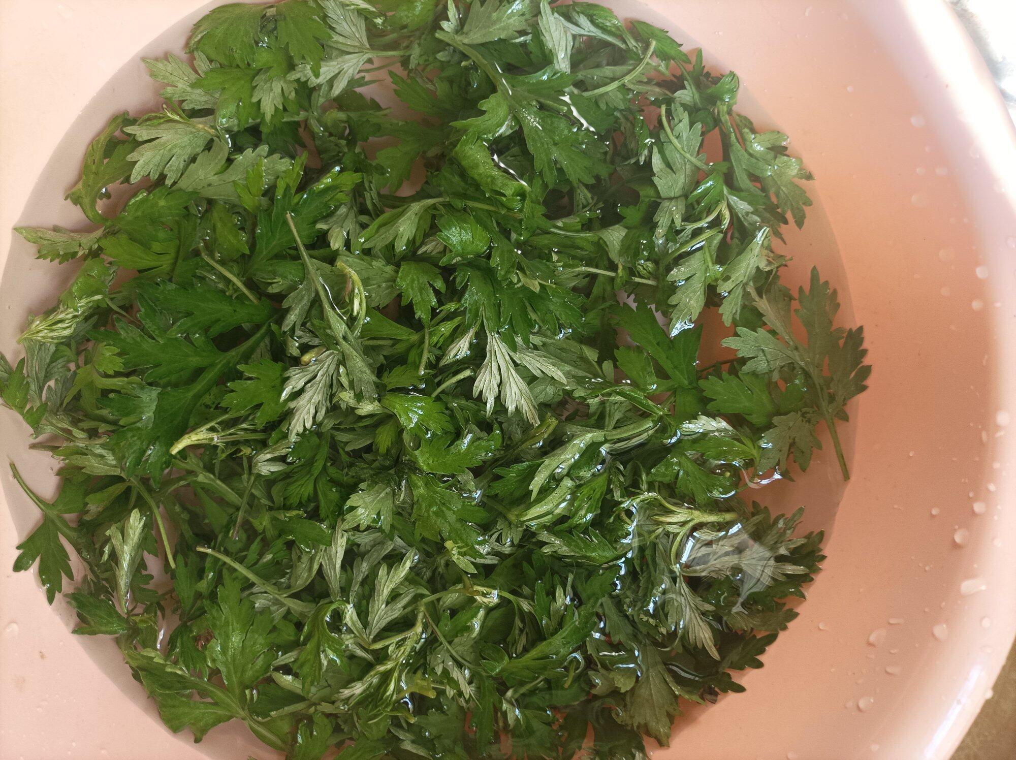 很喜欢这种新鲜的“爱”