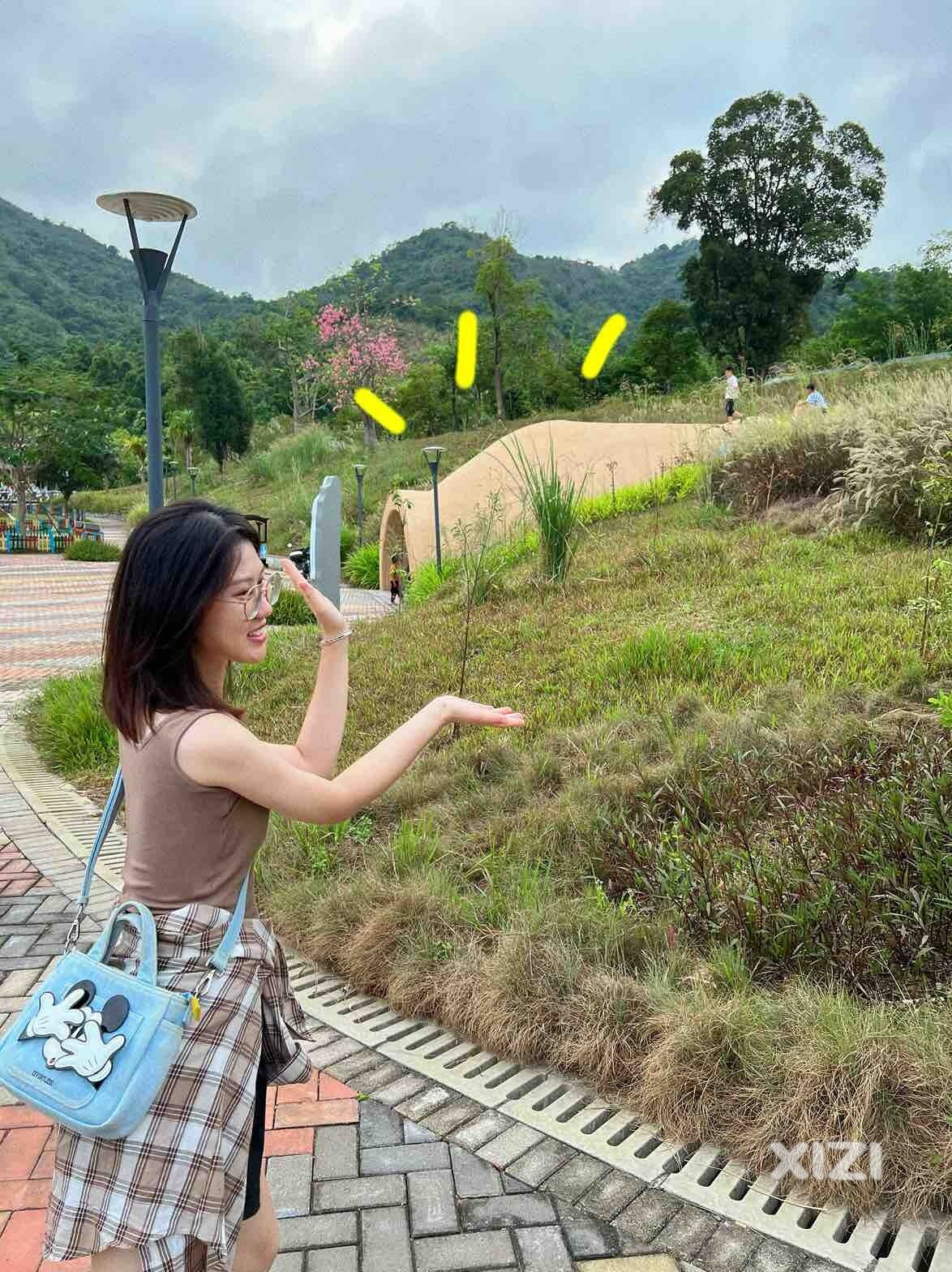 亲子乐园 出片圣地—惠州星河山海中央公园