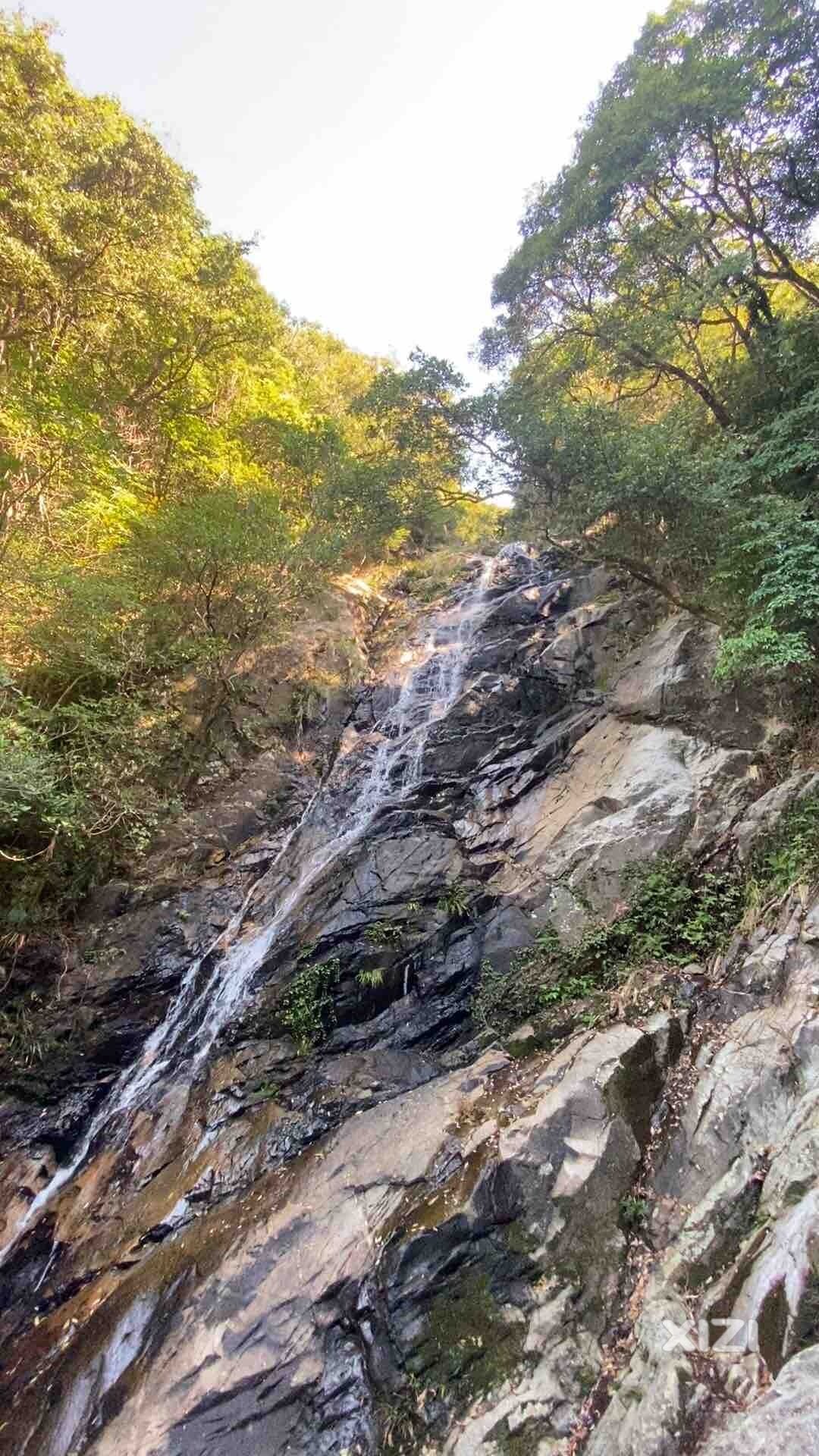 你爬过梧桐山吗？