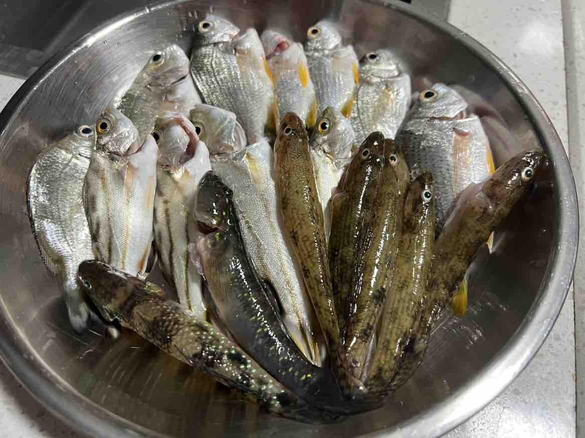 忙碌的周六